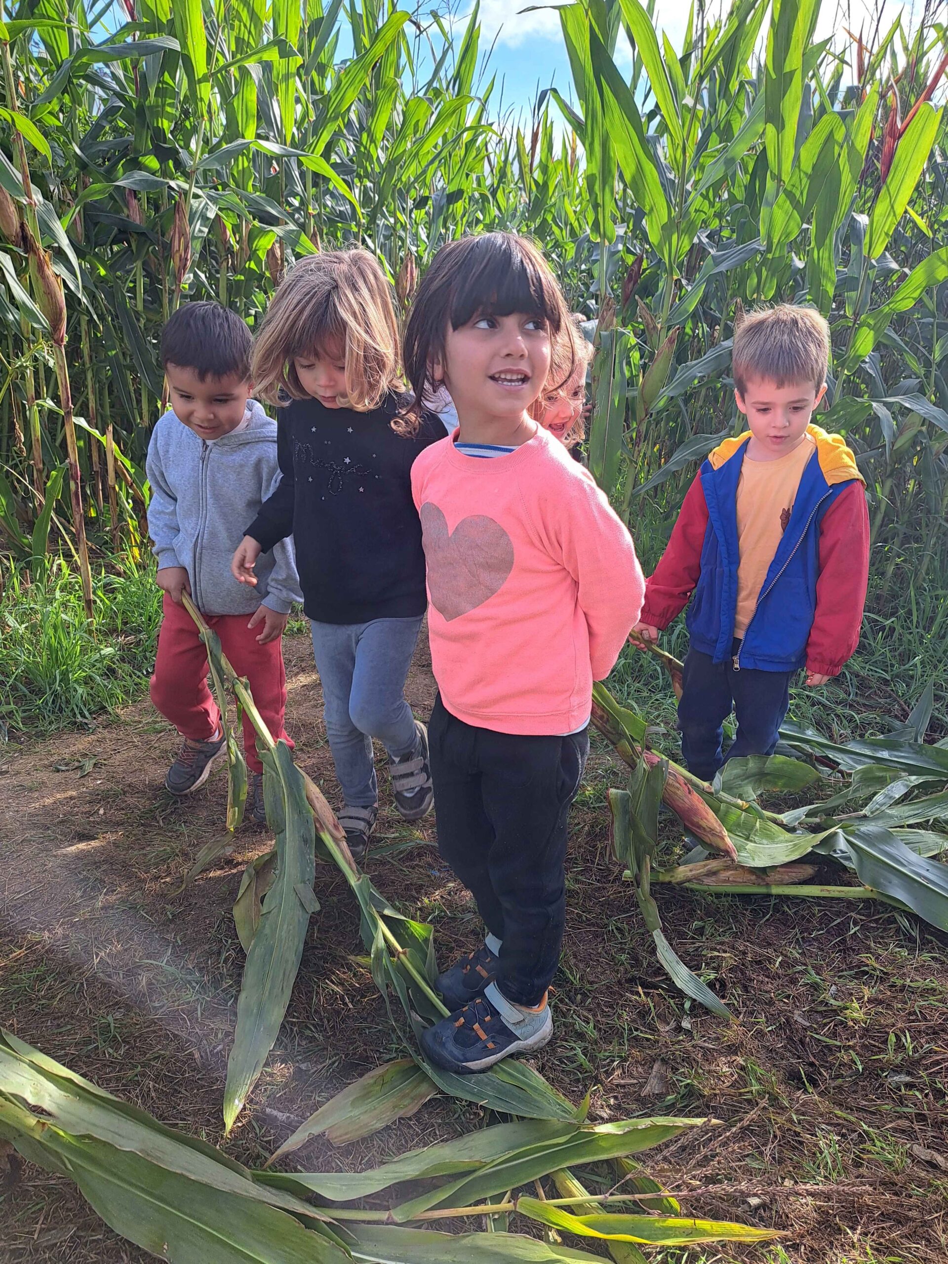 20241126_115552_11zon (1)