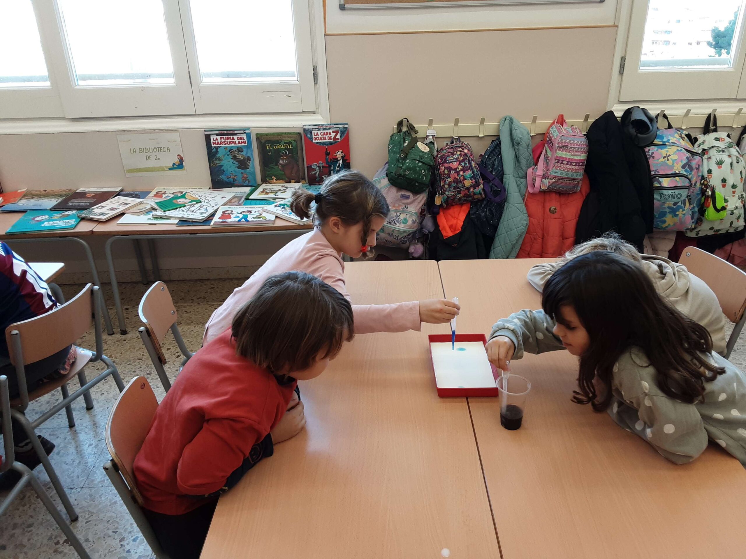 20241202_154557_30_11zon