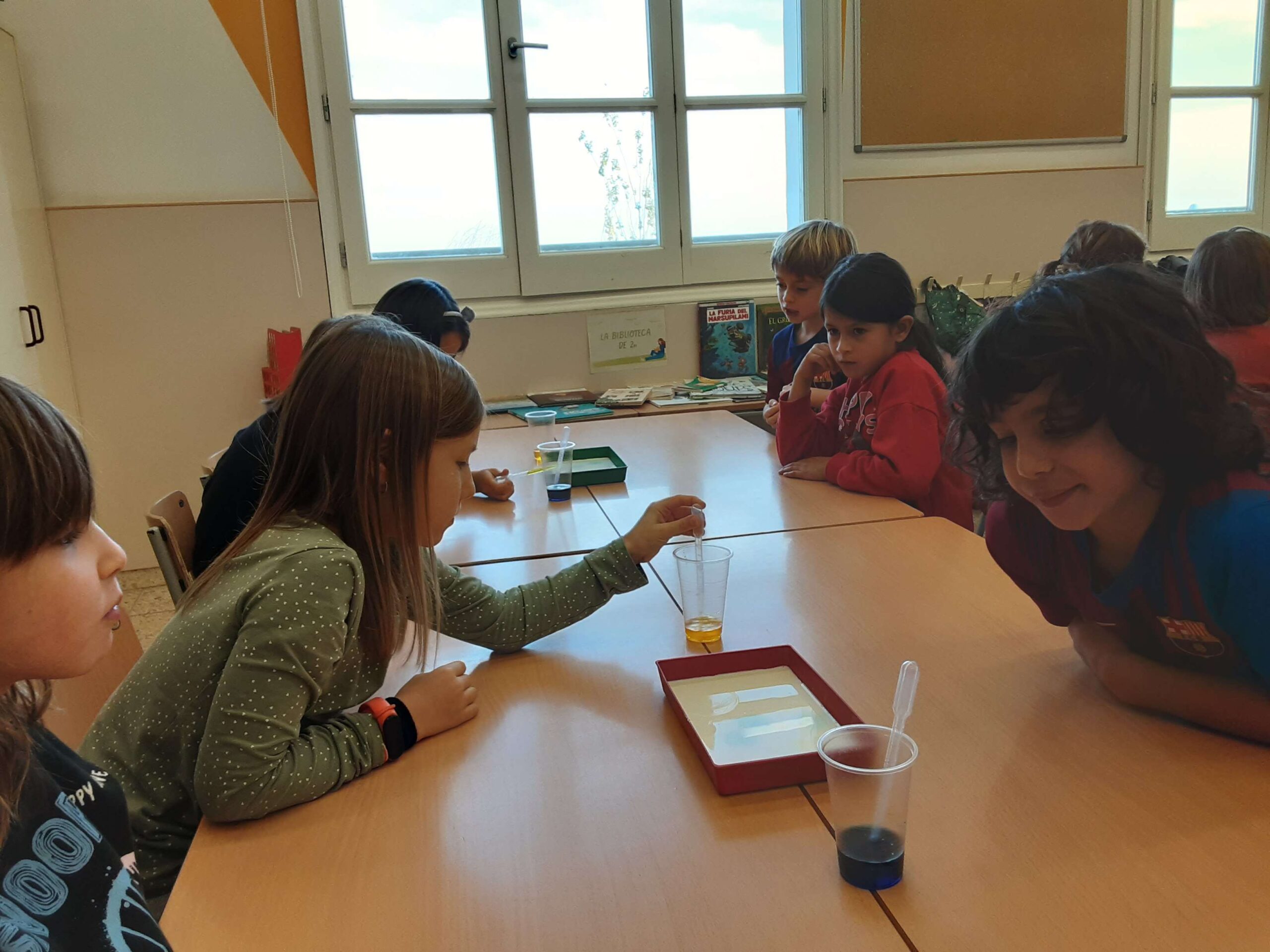 20241202_155149_26_11zon