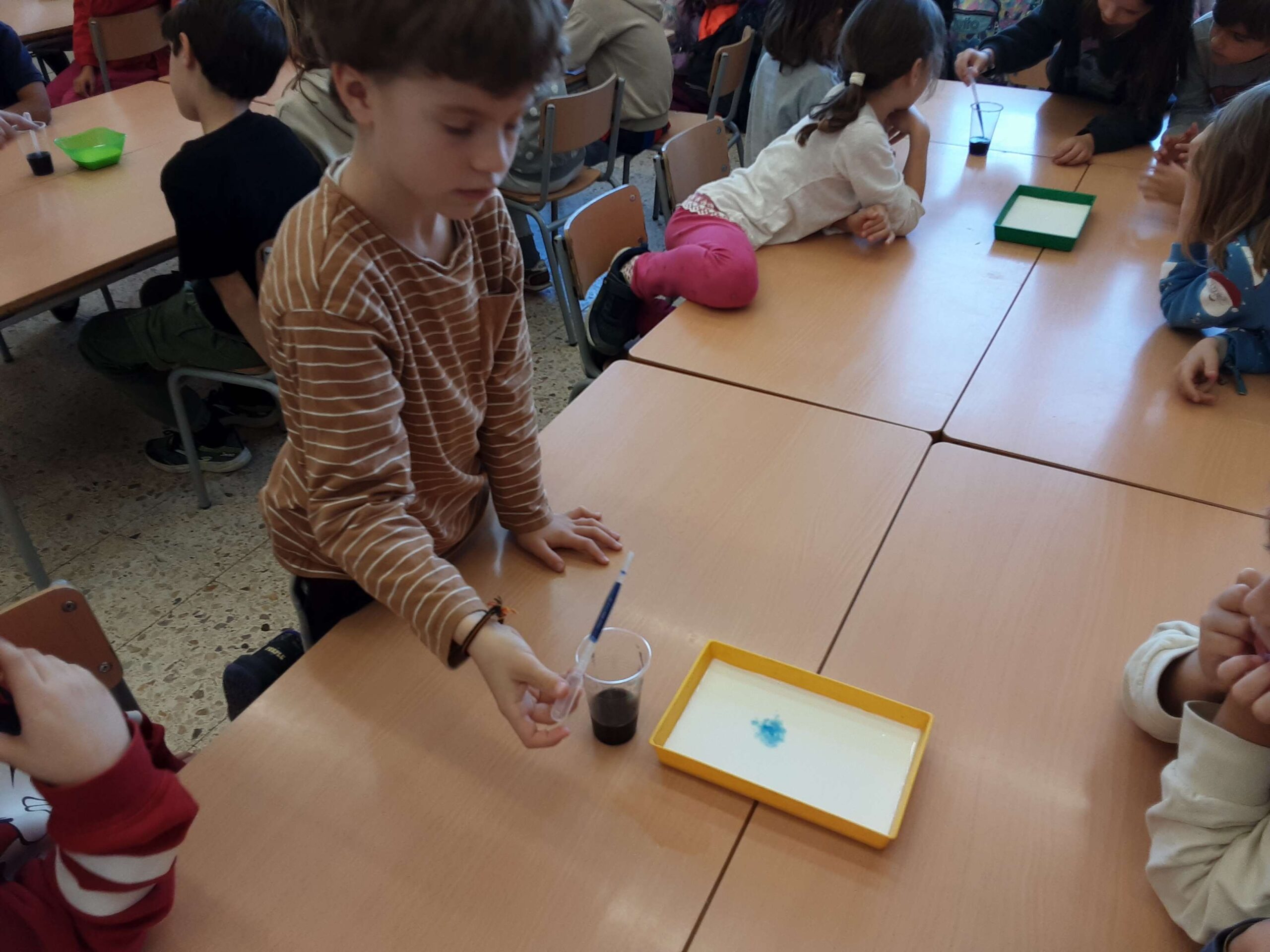 20241202_155742_23_11zon