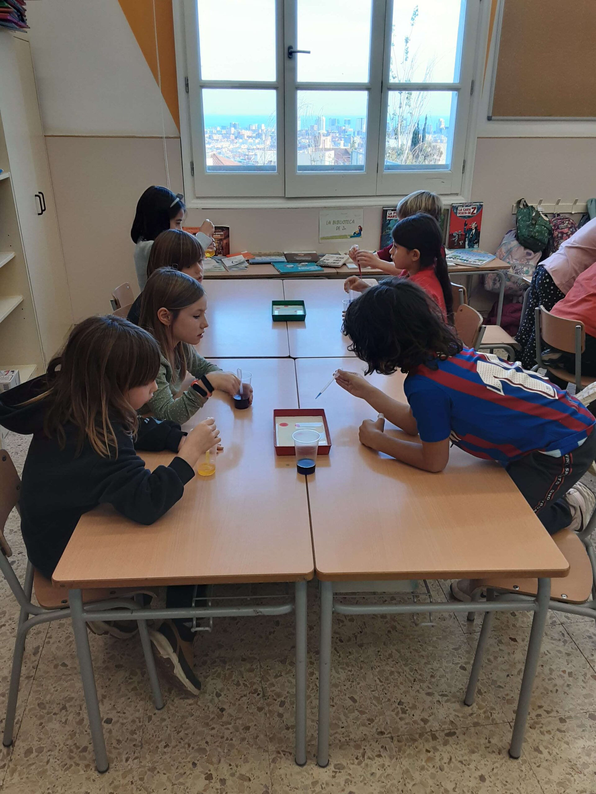 20241202_160828_14_11zon