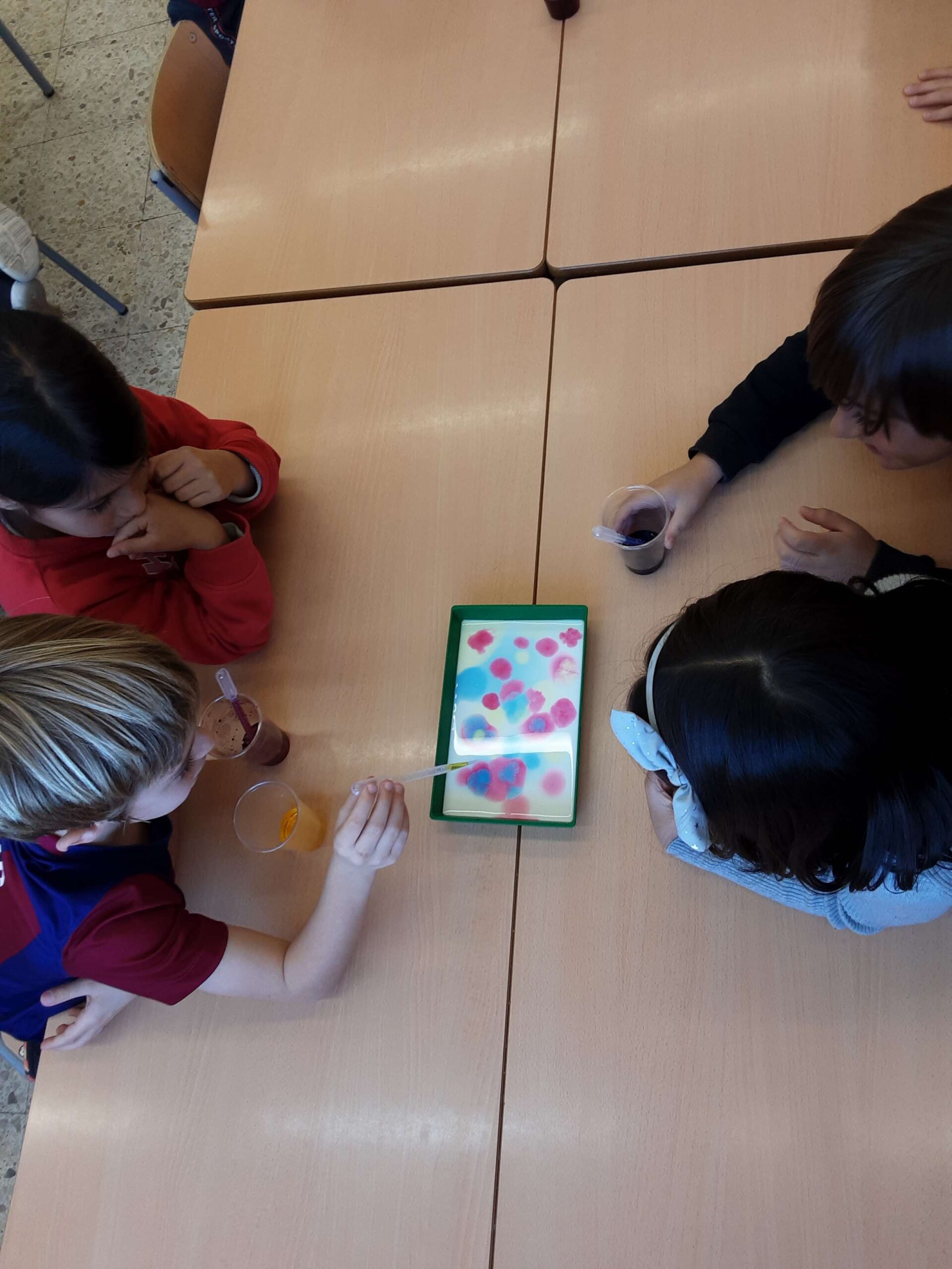 20241202_161125_11_11zon