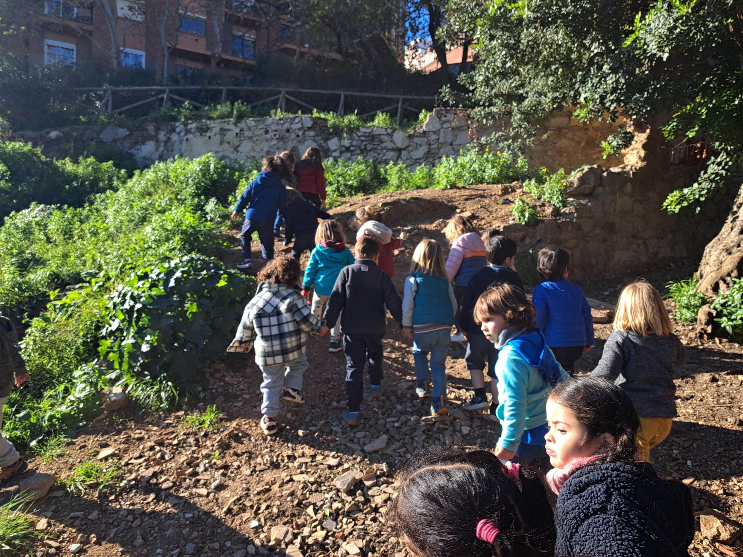 20241209_115706-min (1)