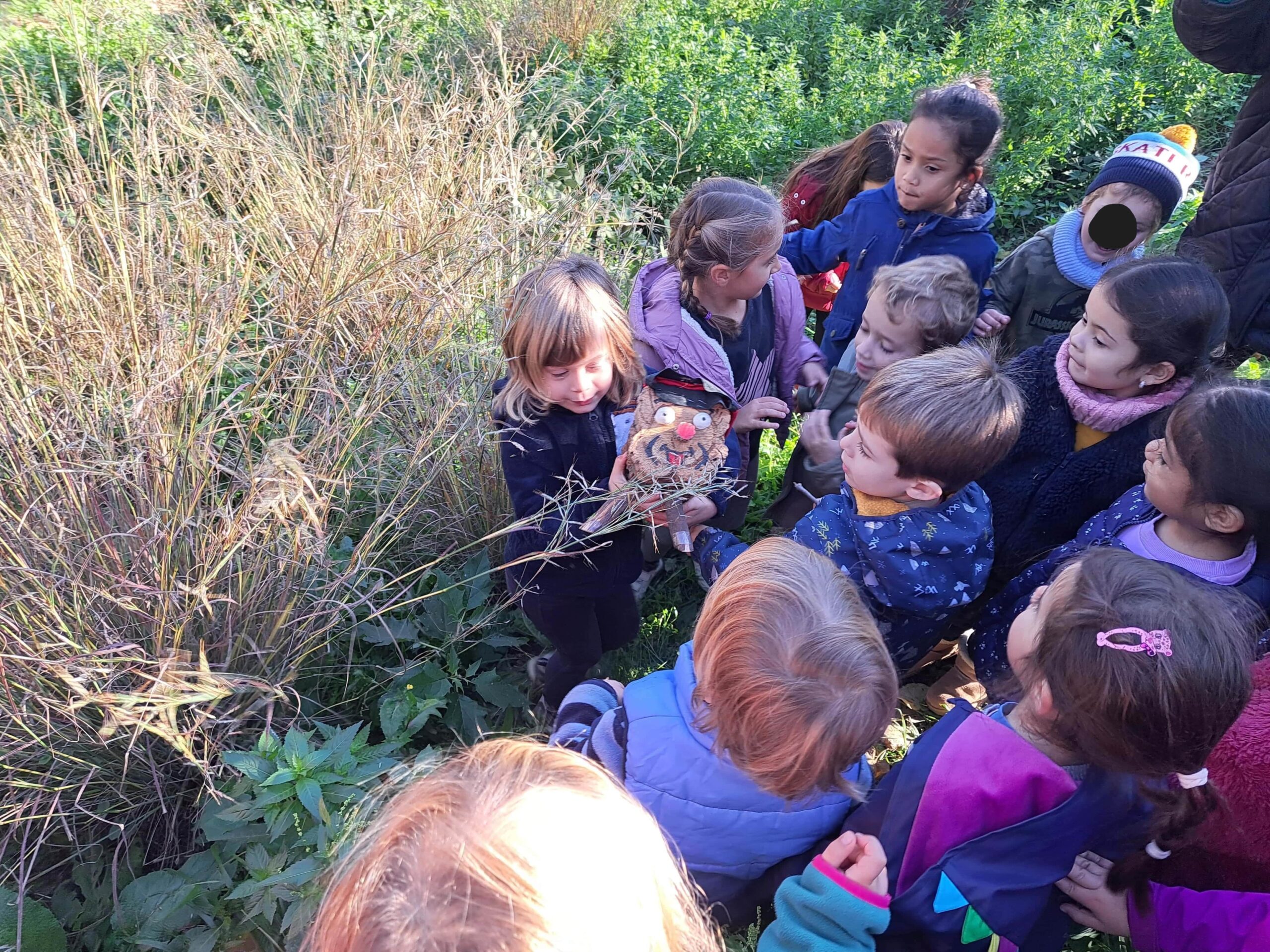 20241209_115813-min-min