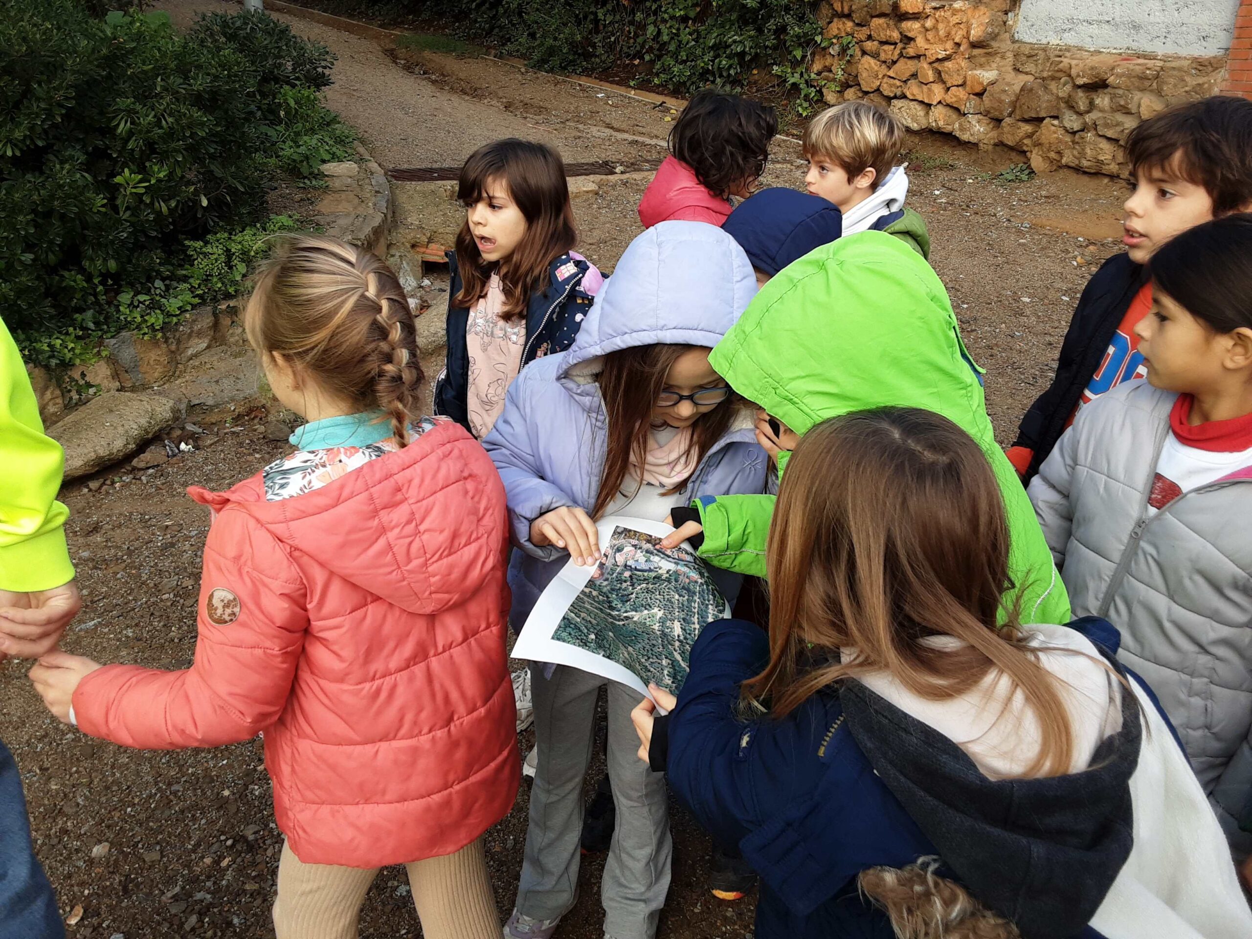 20241213_094157_7_11zon