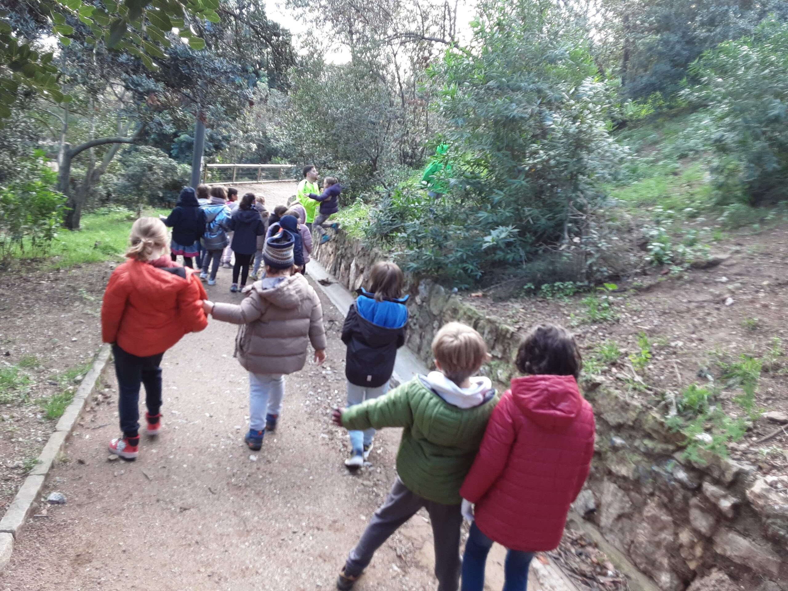 20241213_094641_5_11zon