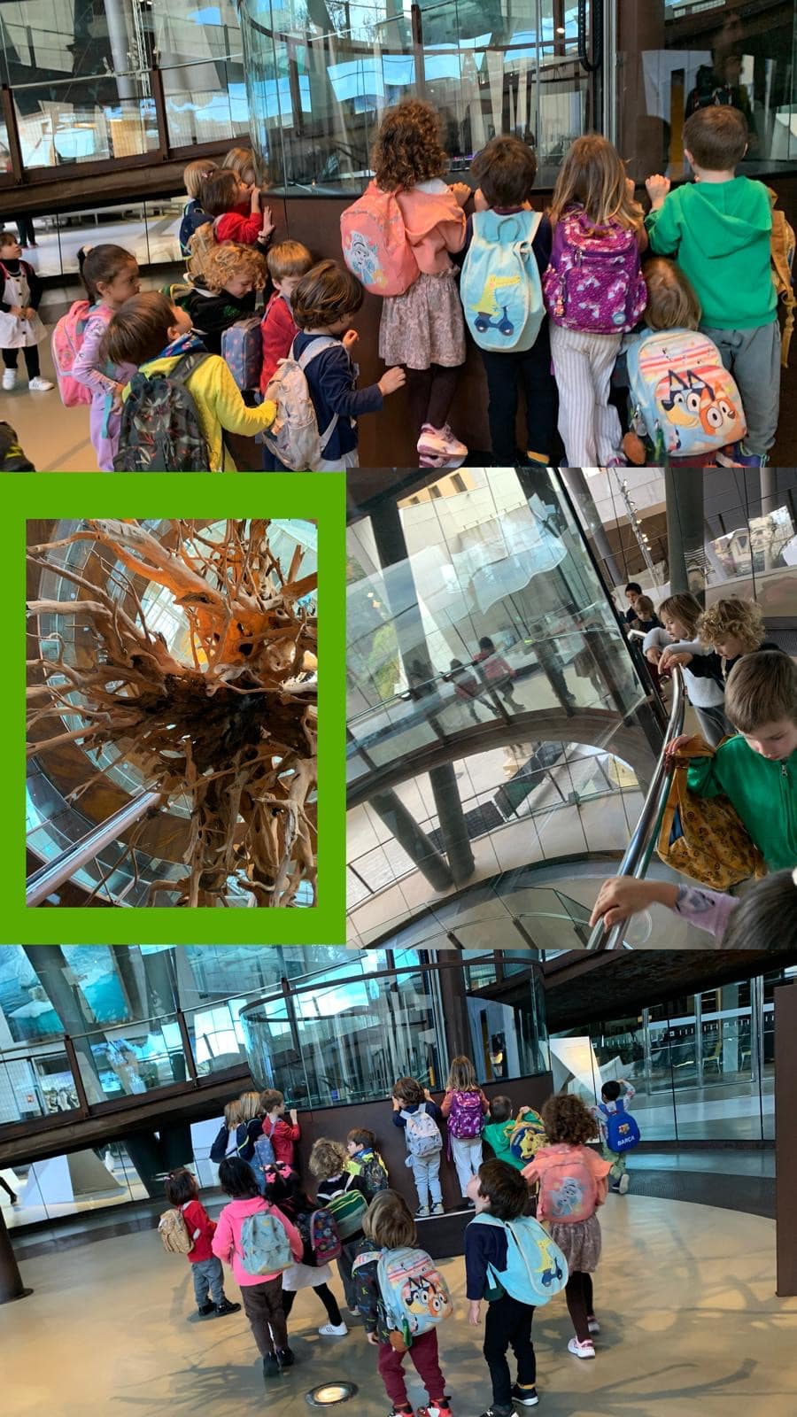 d208ef9a-a2ae-42ab-bc8b-c0ad9d85f24a-min