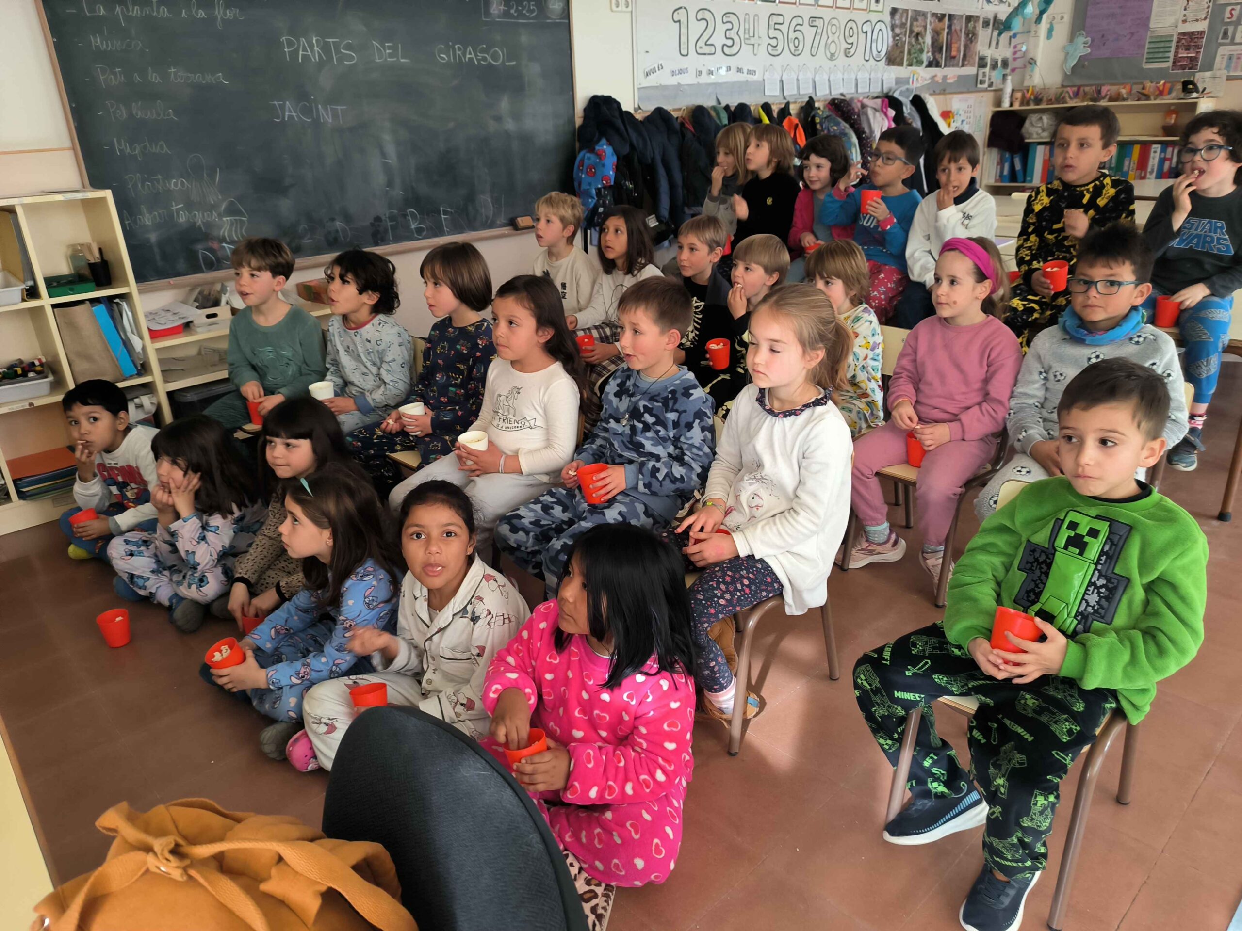 IMG_20250227_115109-compressed