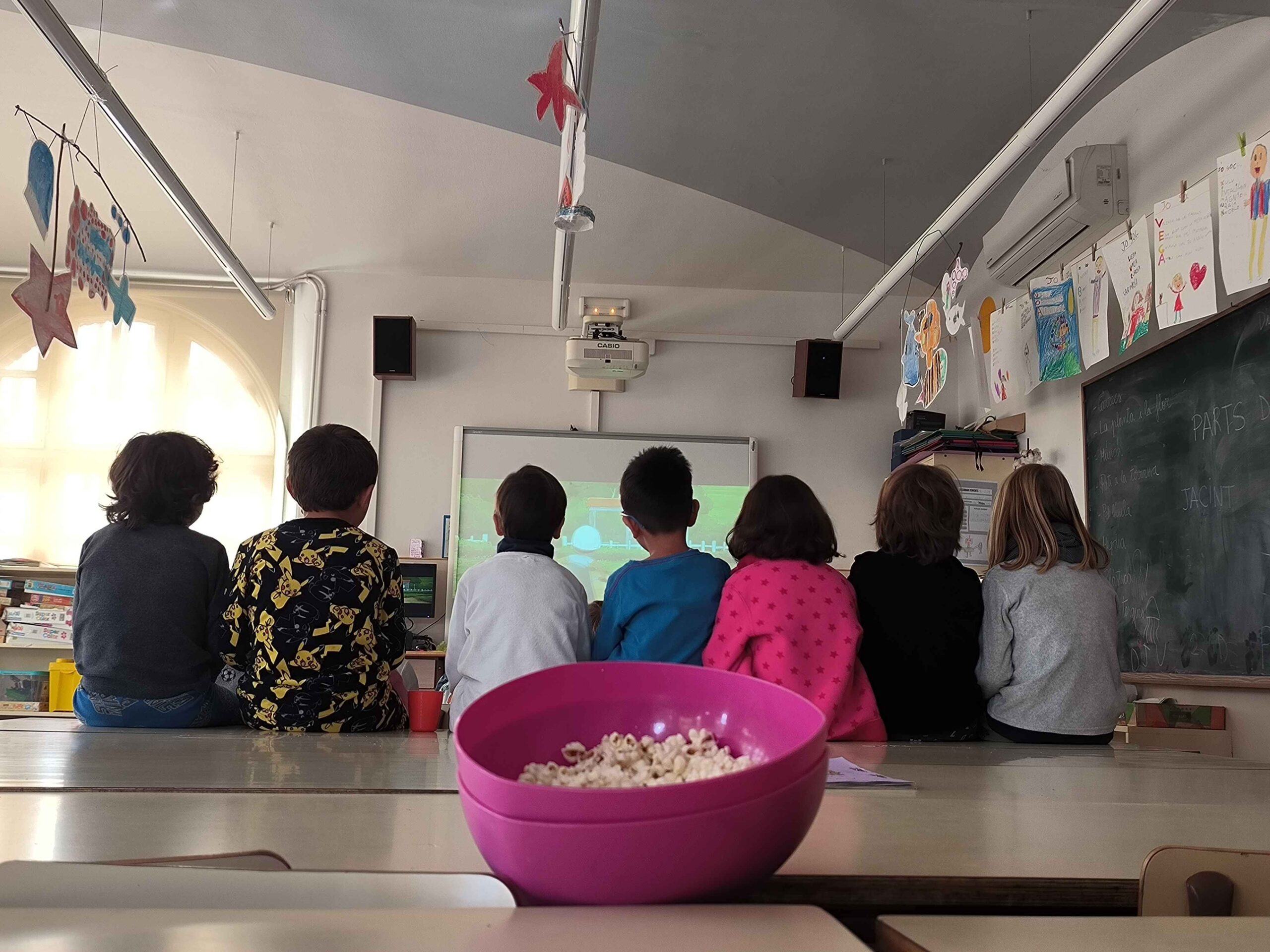 IMG_20250227_115247-compressed