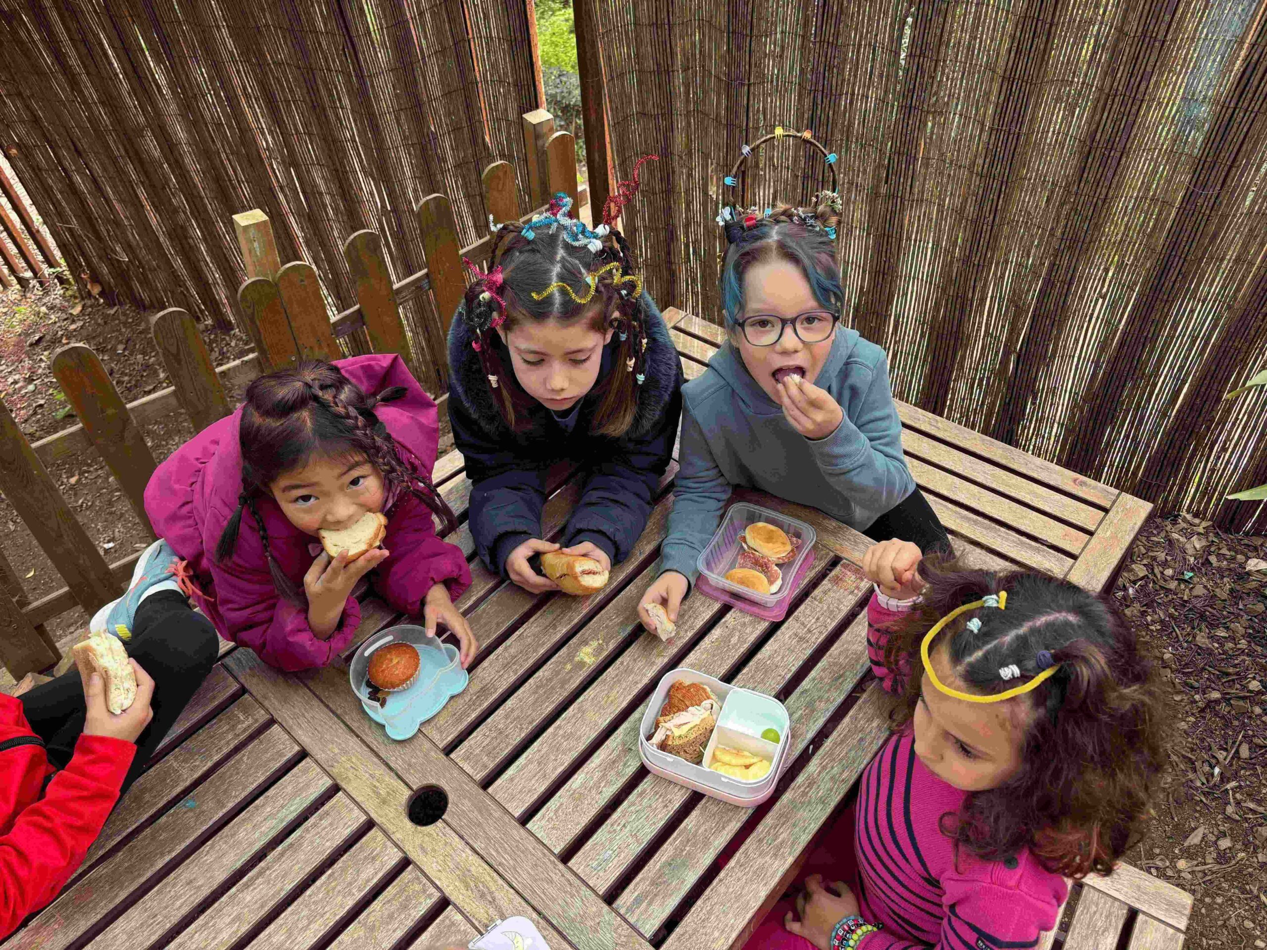 IMG_7943-compressed (1)-compressed-compressed-compressed