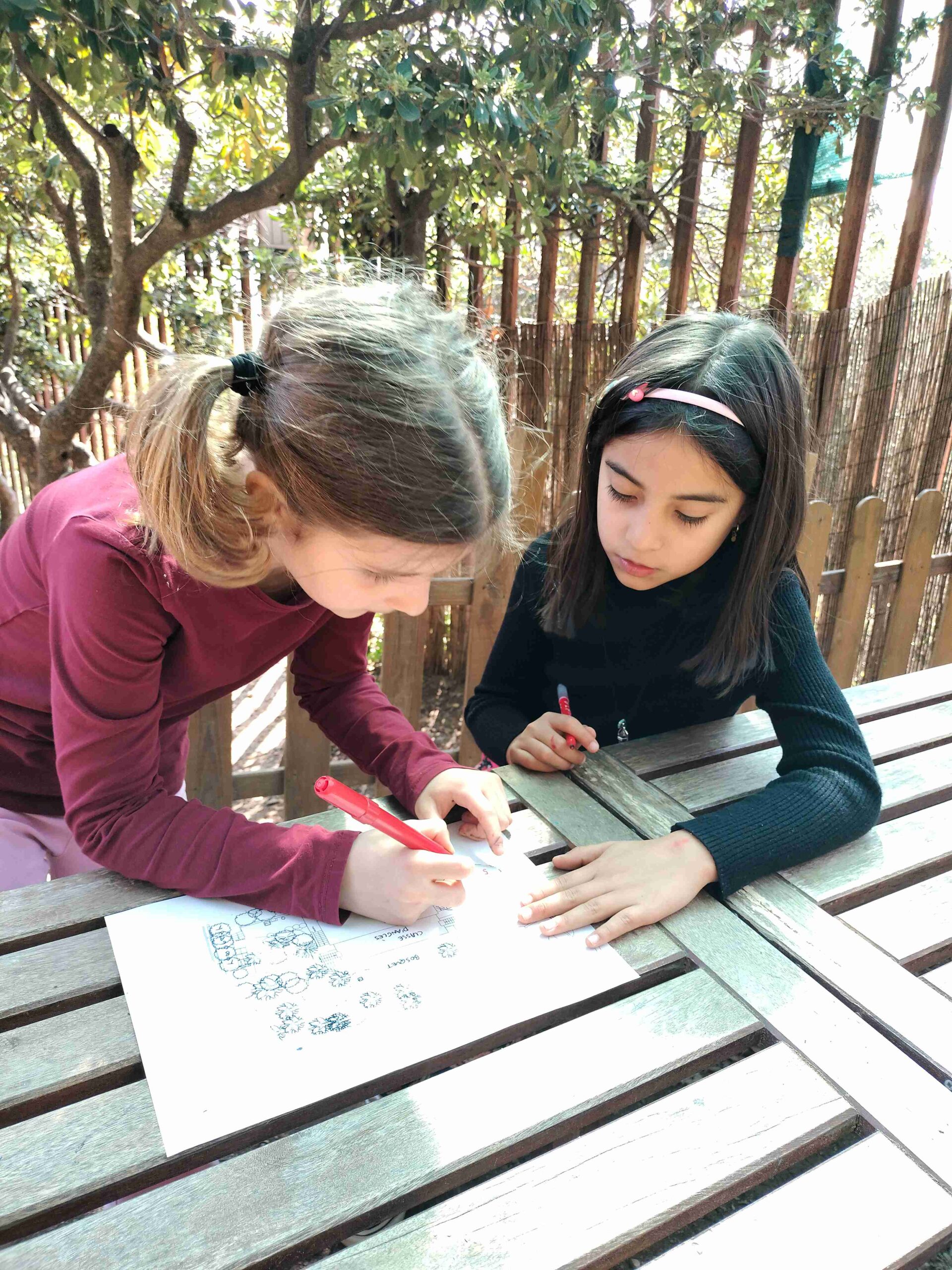 IMG20250409114630_11zon