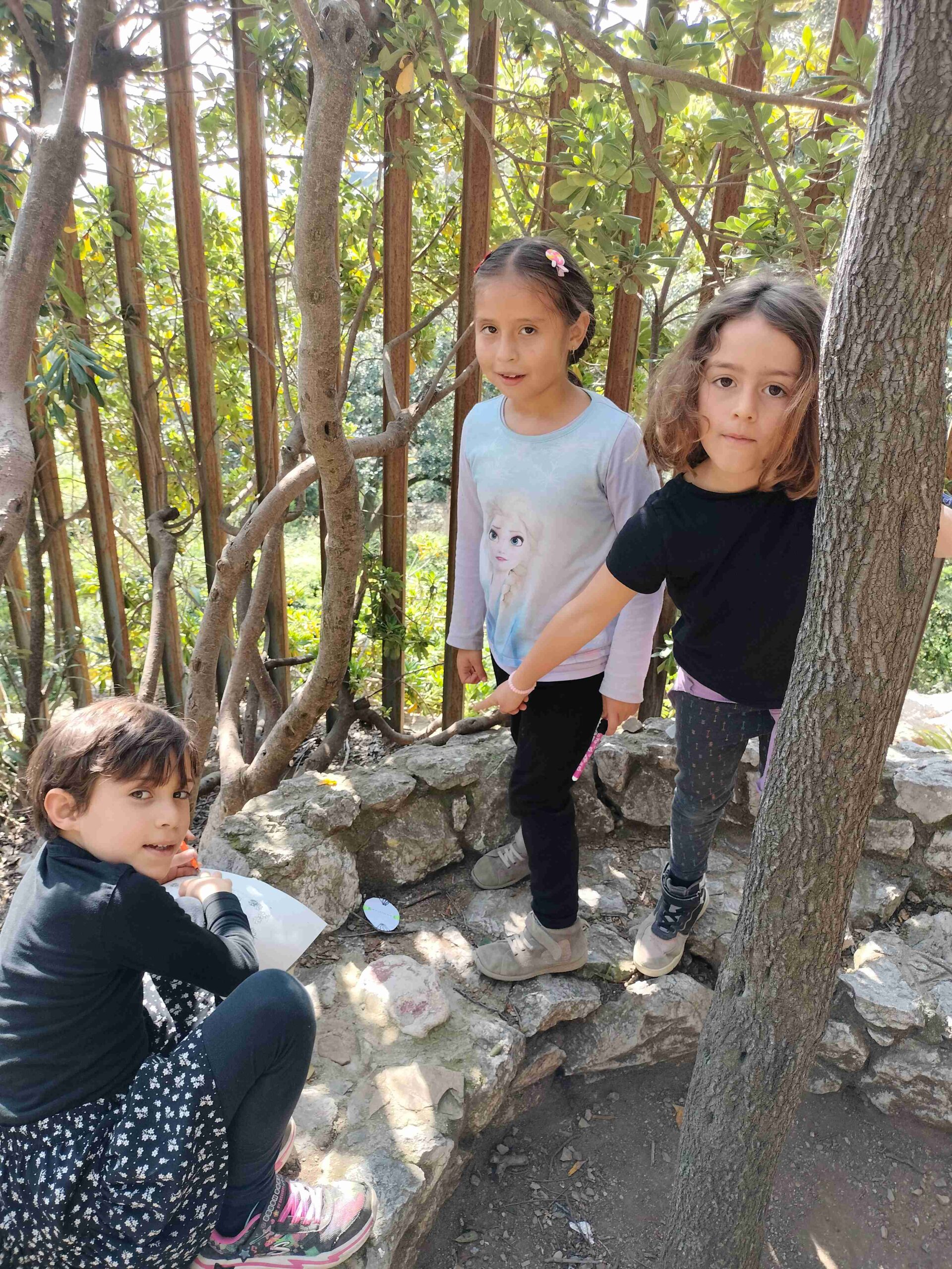 IMG20250409114816_11zon