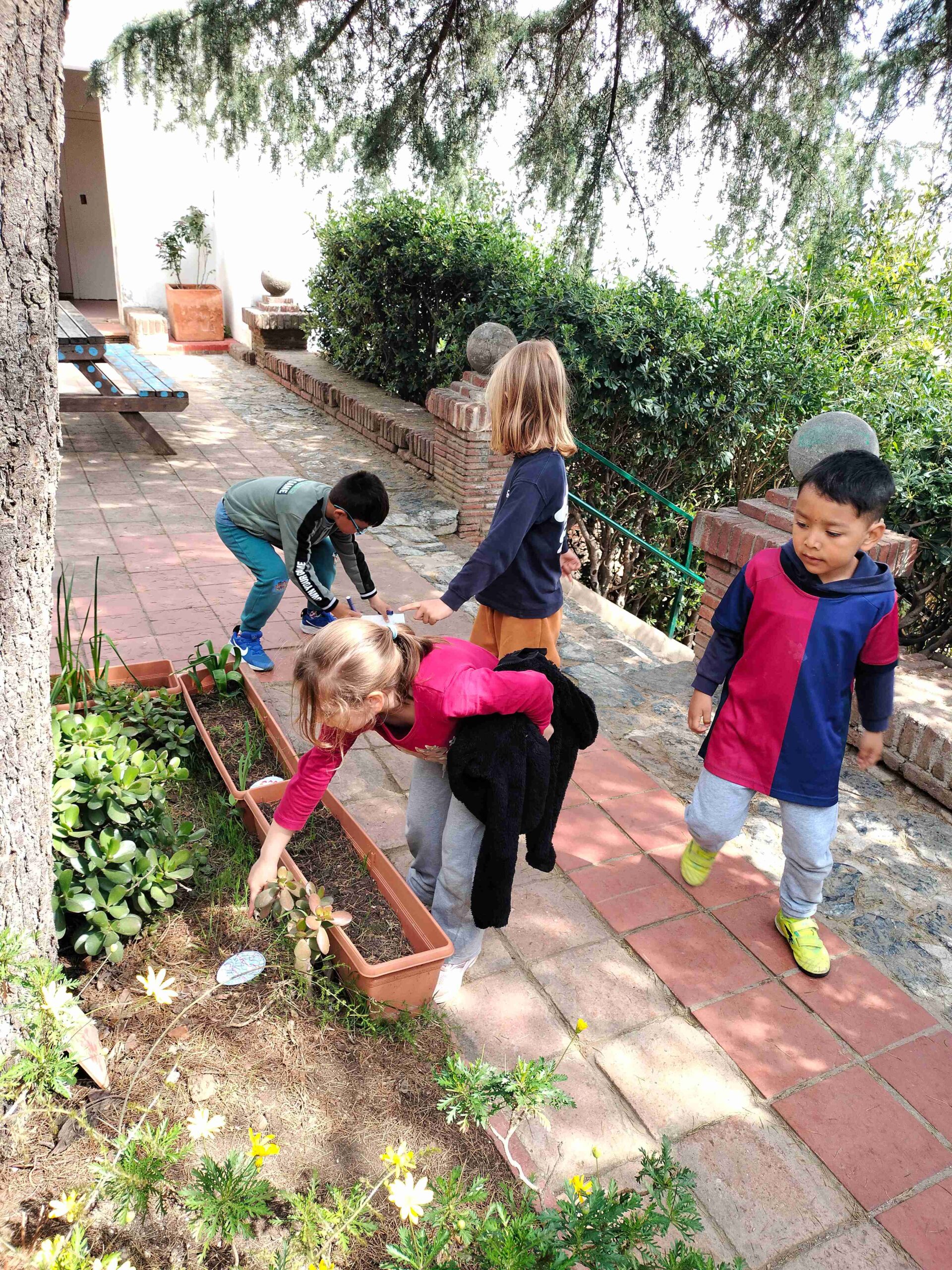 IMG20250410121256_11zon