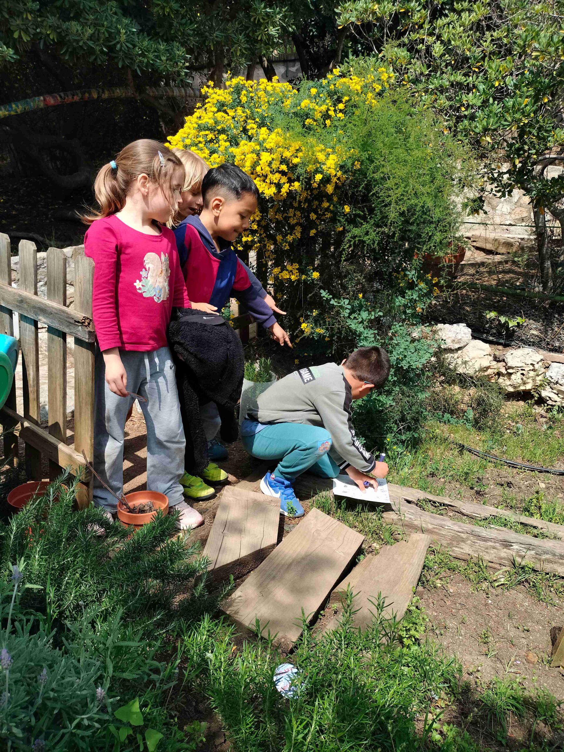 IMG20250410121617_11zon