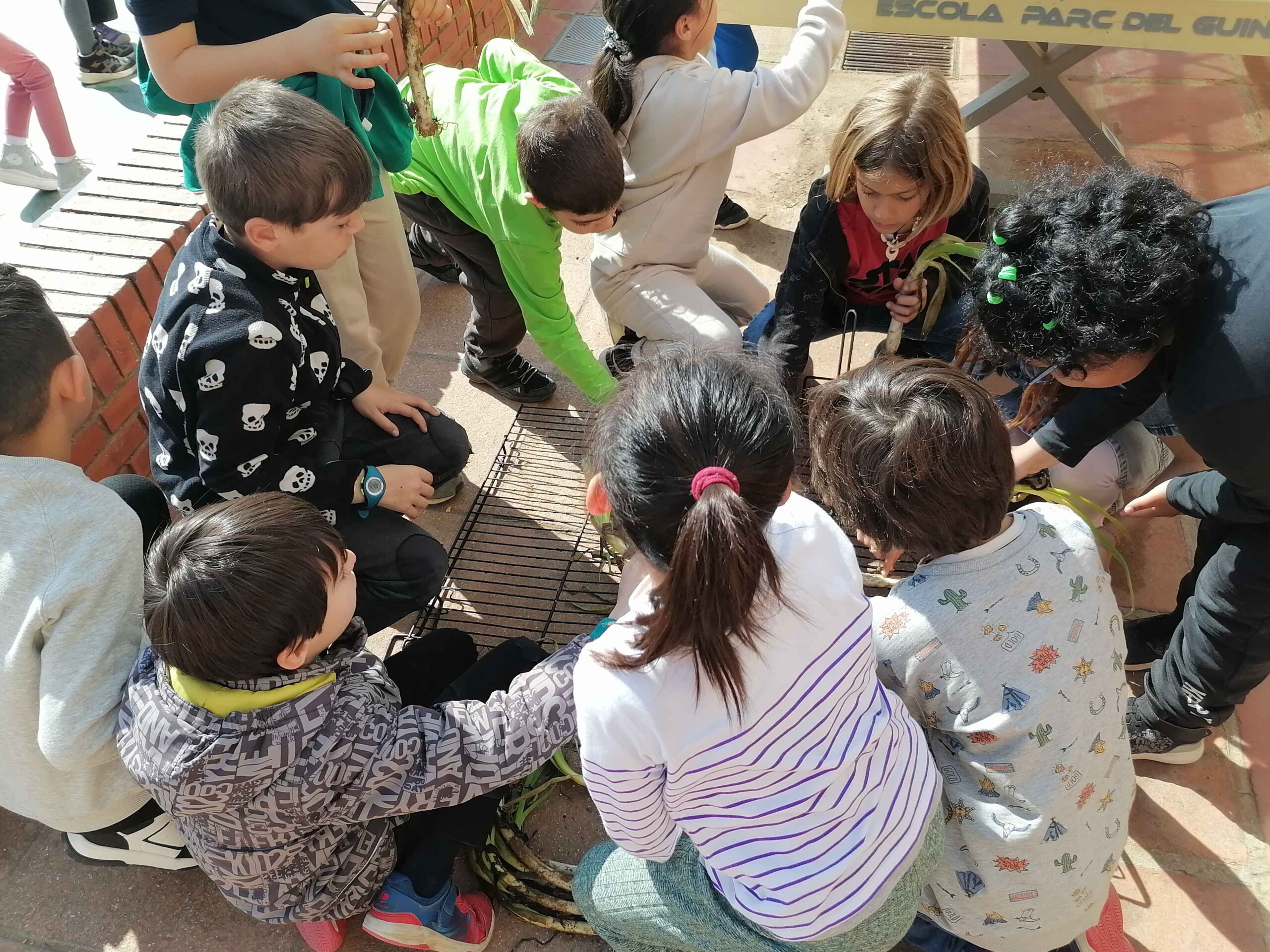 IMG_20250328_102612_11zon