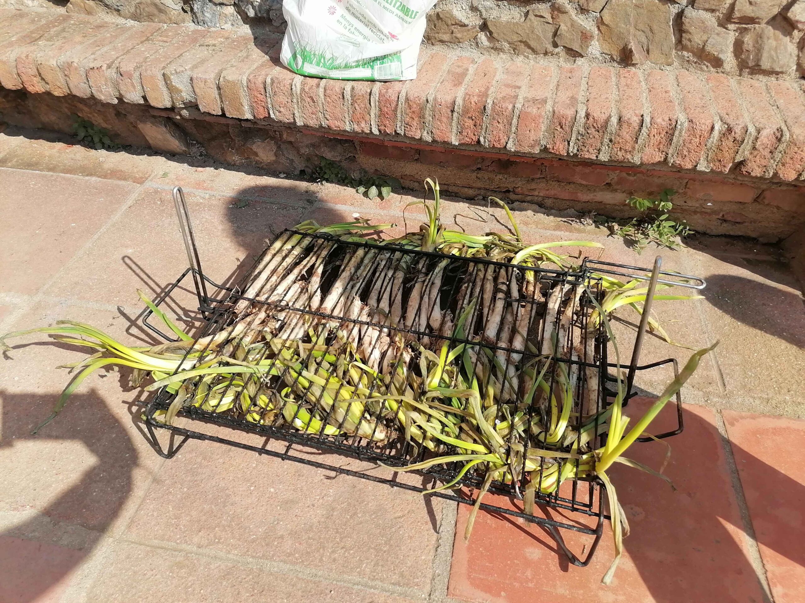 IMG_20250328_103311_11zon