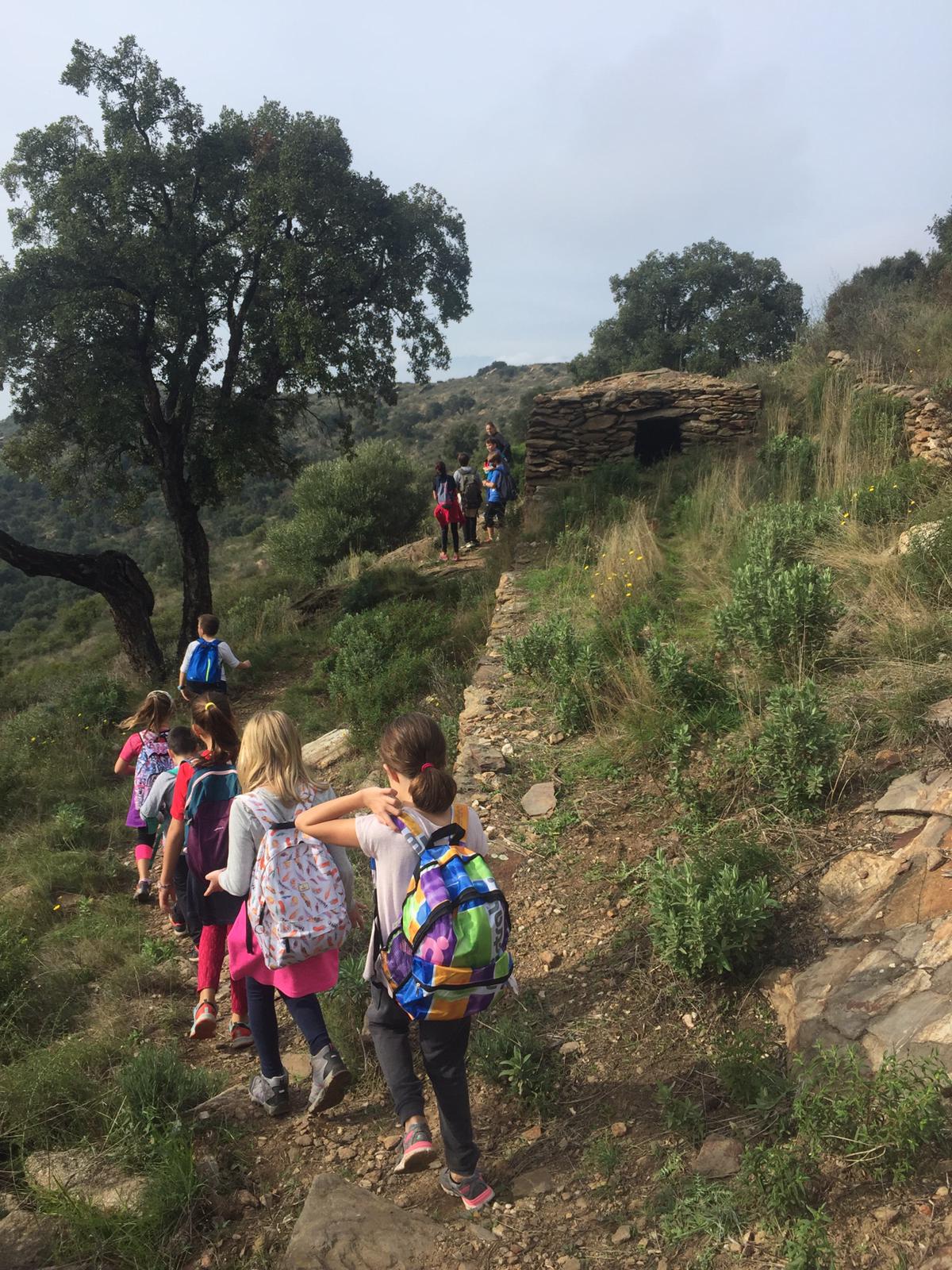 PHOTO-2020-11-13-18-04-33