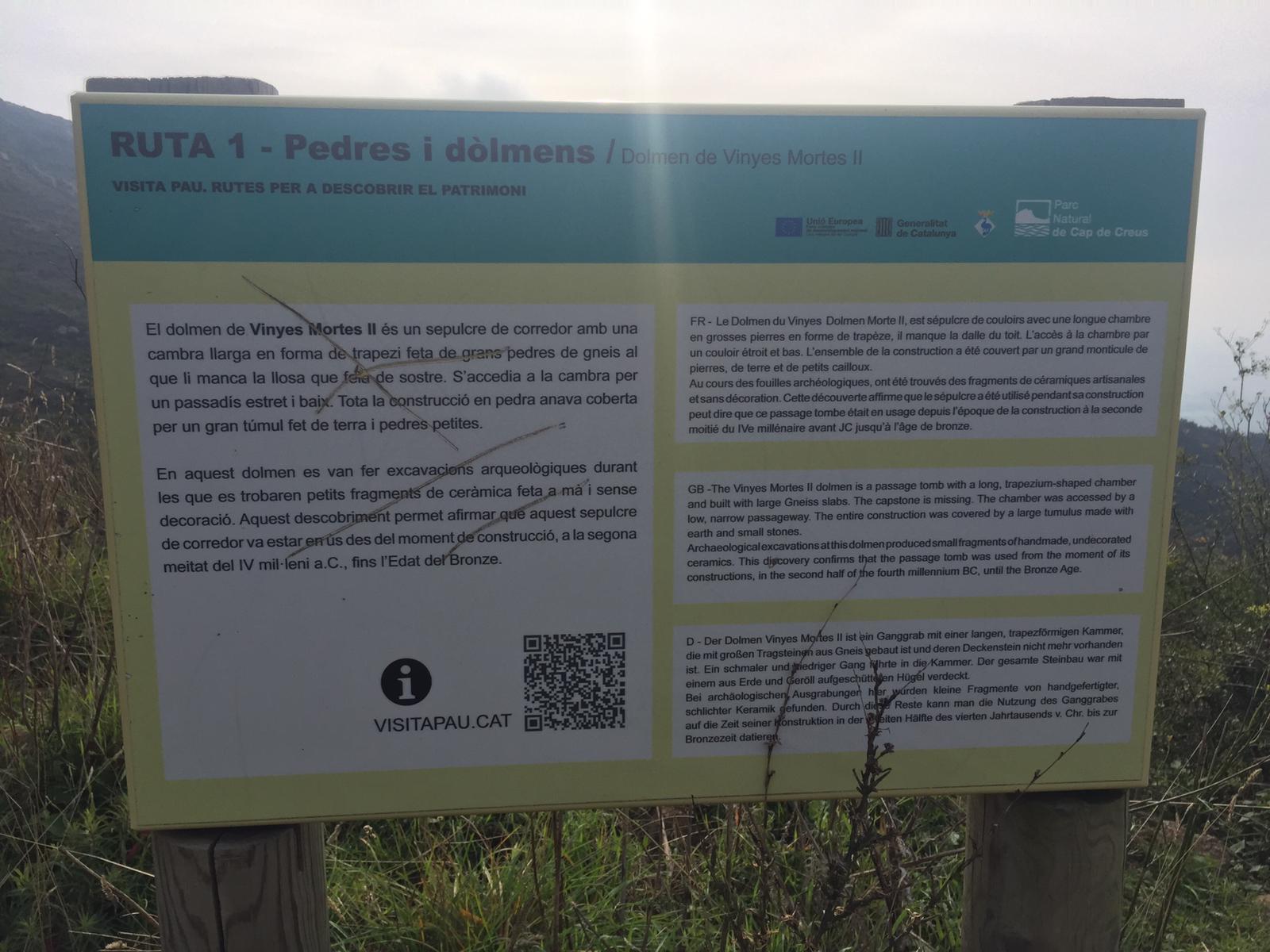 PHOTO-2020-11-13-18-04-34