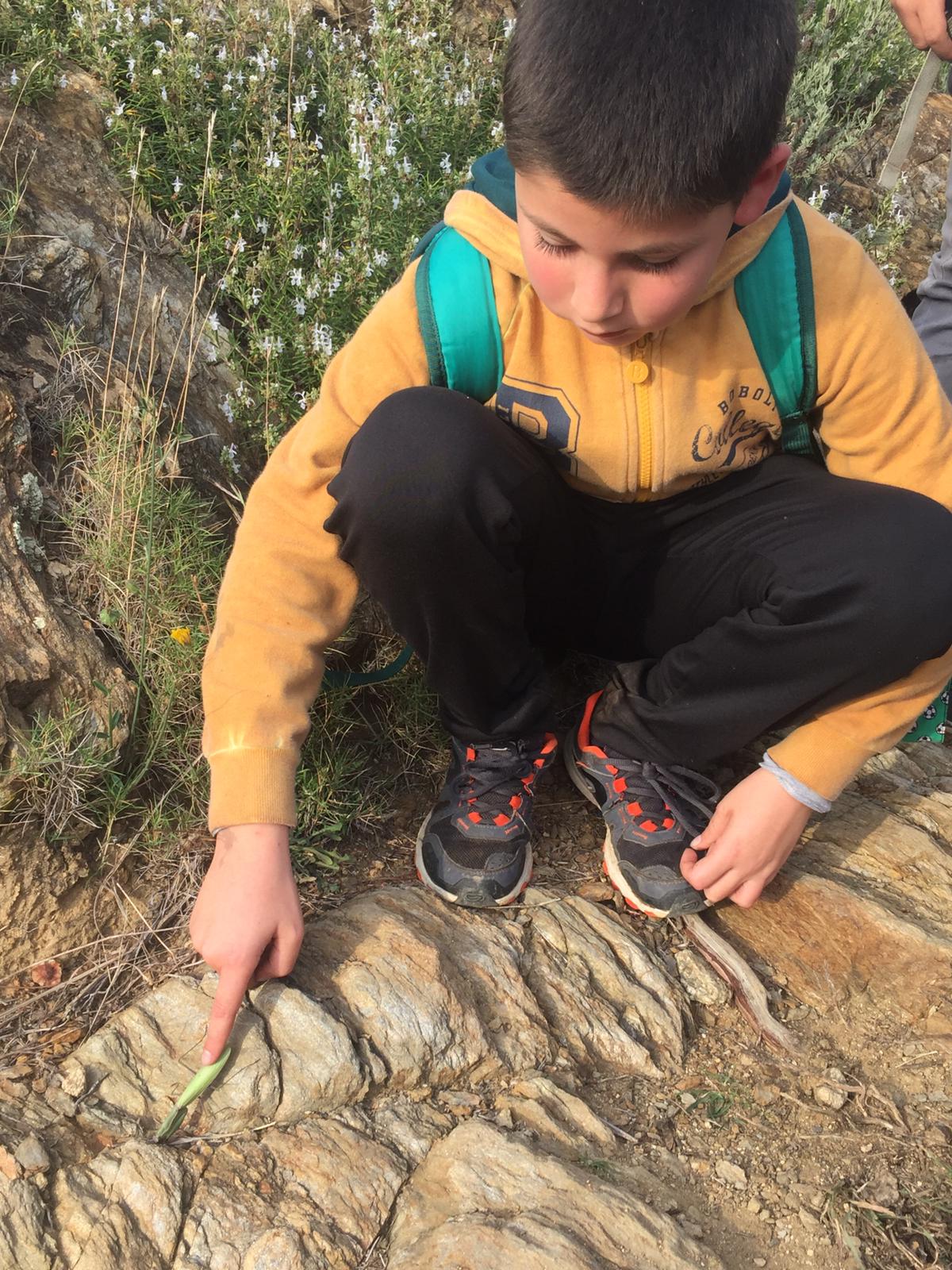 PHOTO-2020-11-13-18-04-46