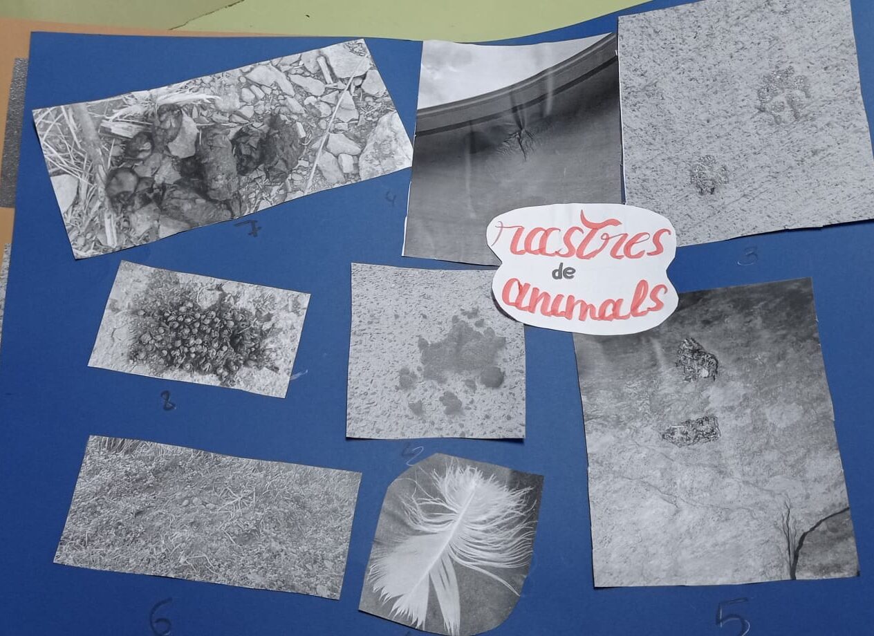 WhatsApp Image 2021-12-21 at 11.29.43