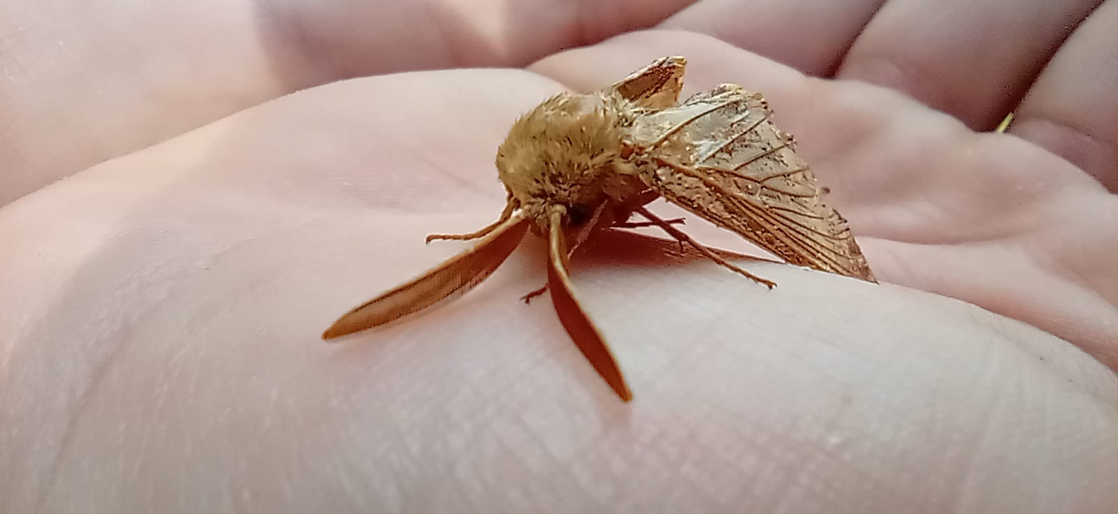 WhatsApp Image 2024-10-18 at 11.23.32 (1)