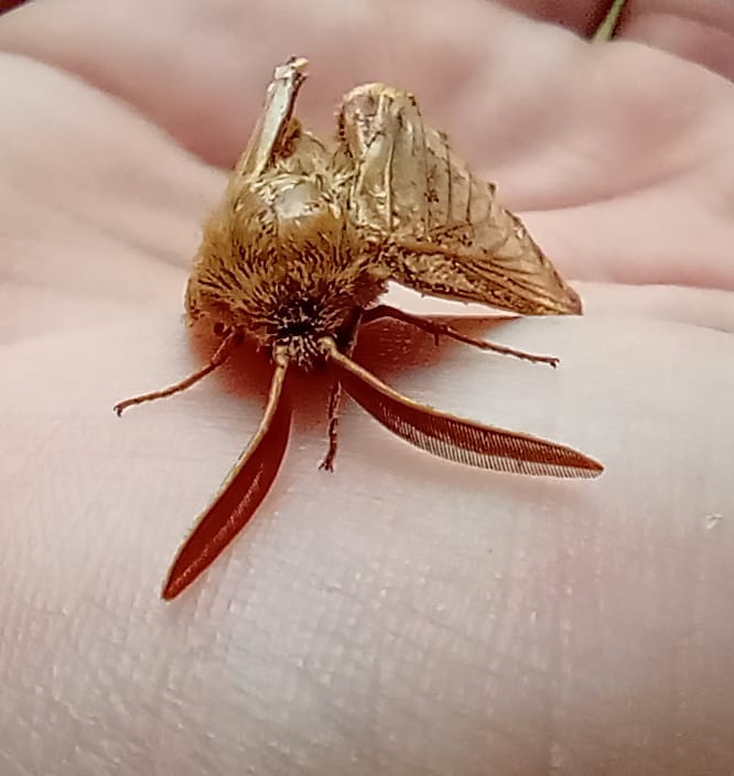 WhatsApp Image 2024-10-18 at 11.23.32 (2)