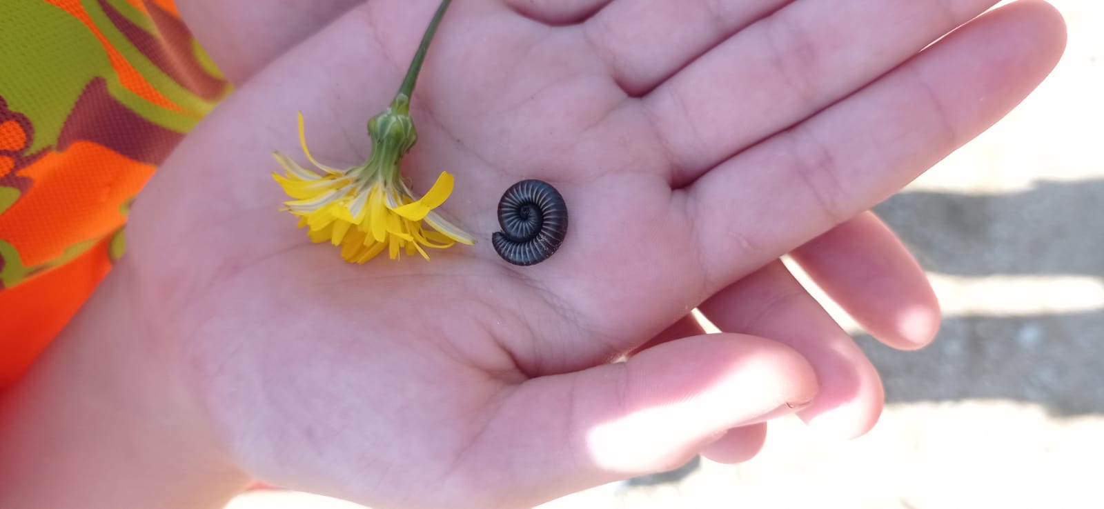 WhatsApp Image 2024-10-18 at 11.23.32 (3)