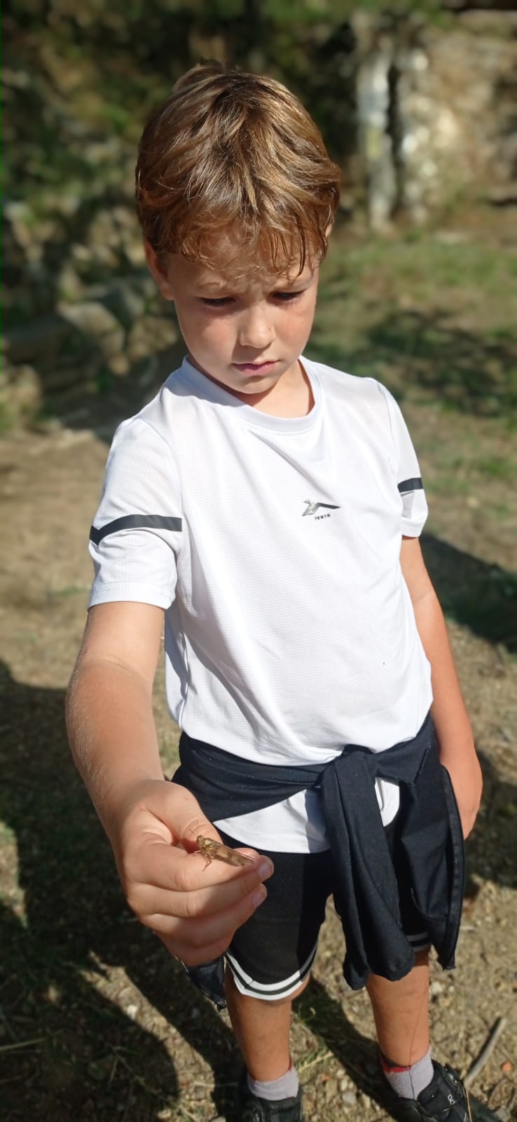 WhatsApp Image 2024-10-18 at 11.23.33