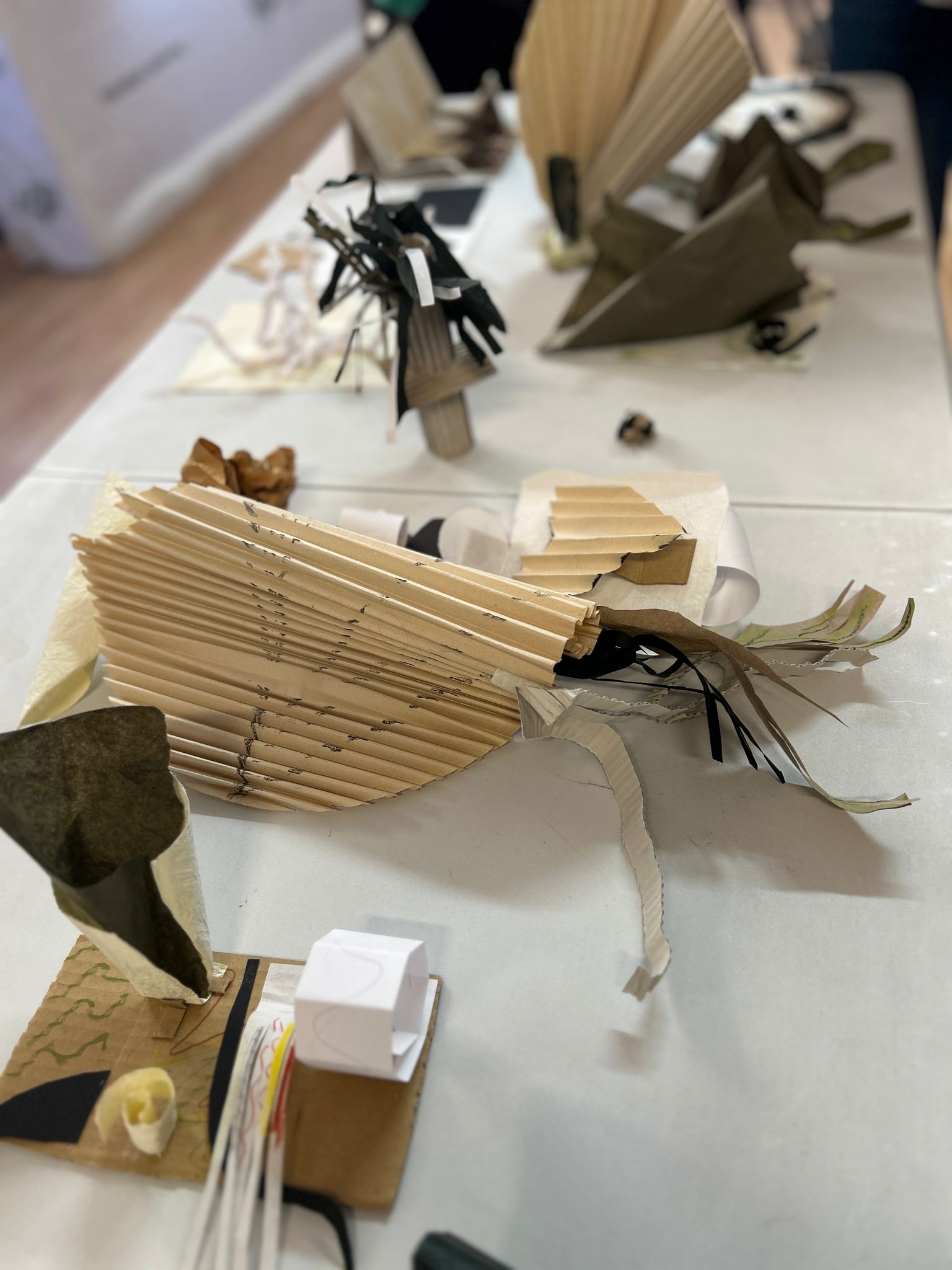 WhatsApp Image 2025-04-03 at 09.51.44 (1)