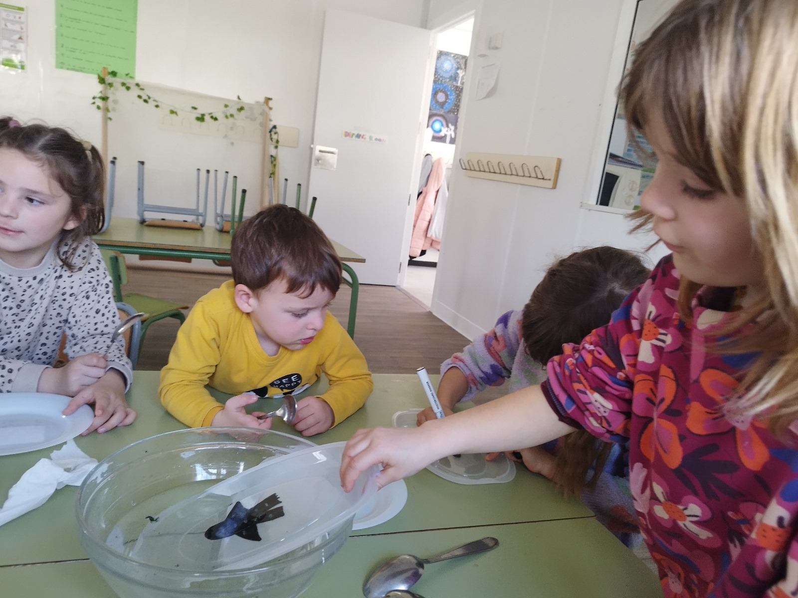 WhatsApp Image 2025-05-07 at 18.44.59 (2)