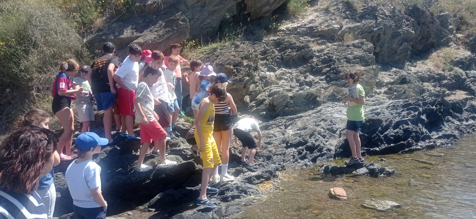 WhatsApp Image 2025-06-01 at 23.41.08 (3)