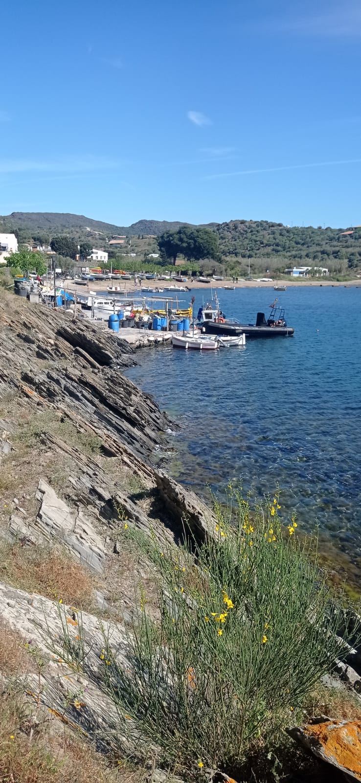 WhatsApp Image 2025-06-01 at 23.41.08 (7)