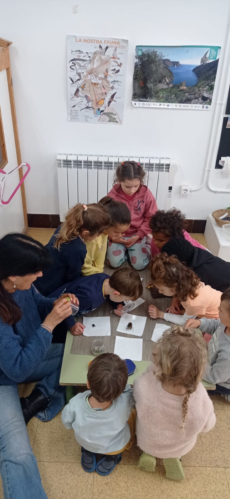 WhatsApp Image 2025-06-02 at 23.10.09