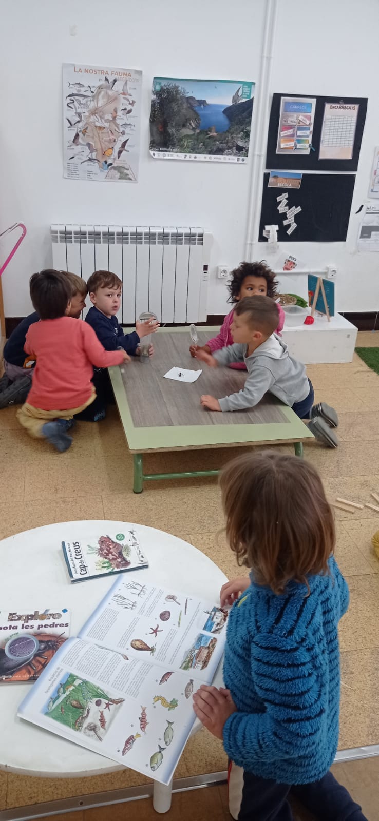 WhatsApp Image 2025-06-02 at 23.10.26