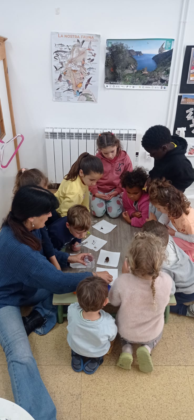 WhatsApp Image 2025-06-02 at 23.11.11