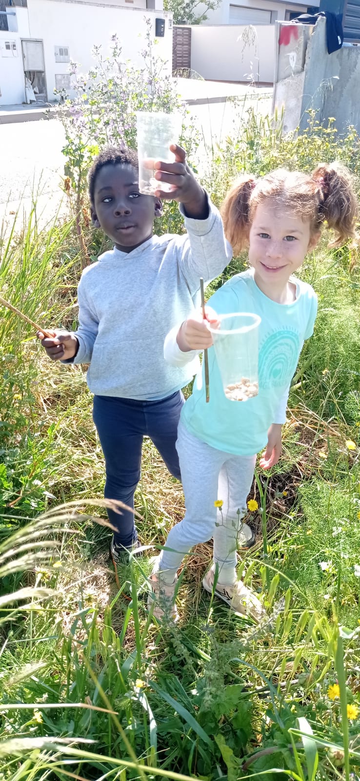 WhatsApp Image 2025-06-02 at 23.15.51 (1)