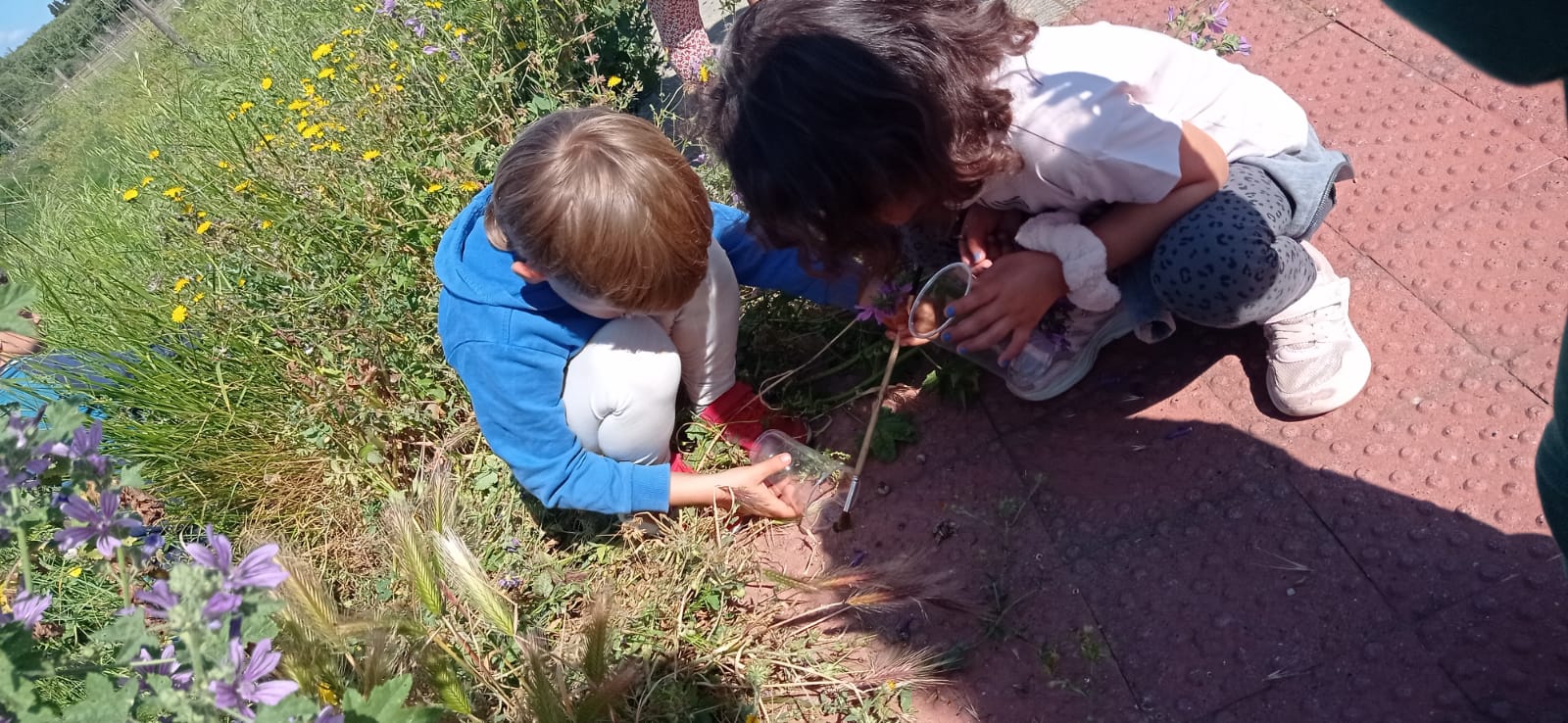 WhatsApp Image 2025-06-02 at 23.15.51 (11)