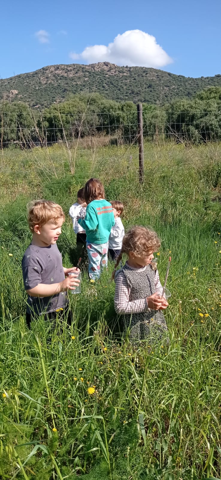 WhatsApp Image 2025-06-02 at 23.15.51 (2)