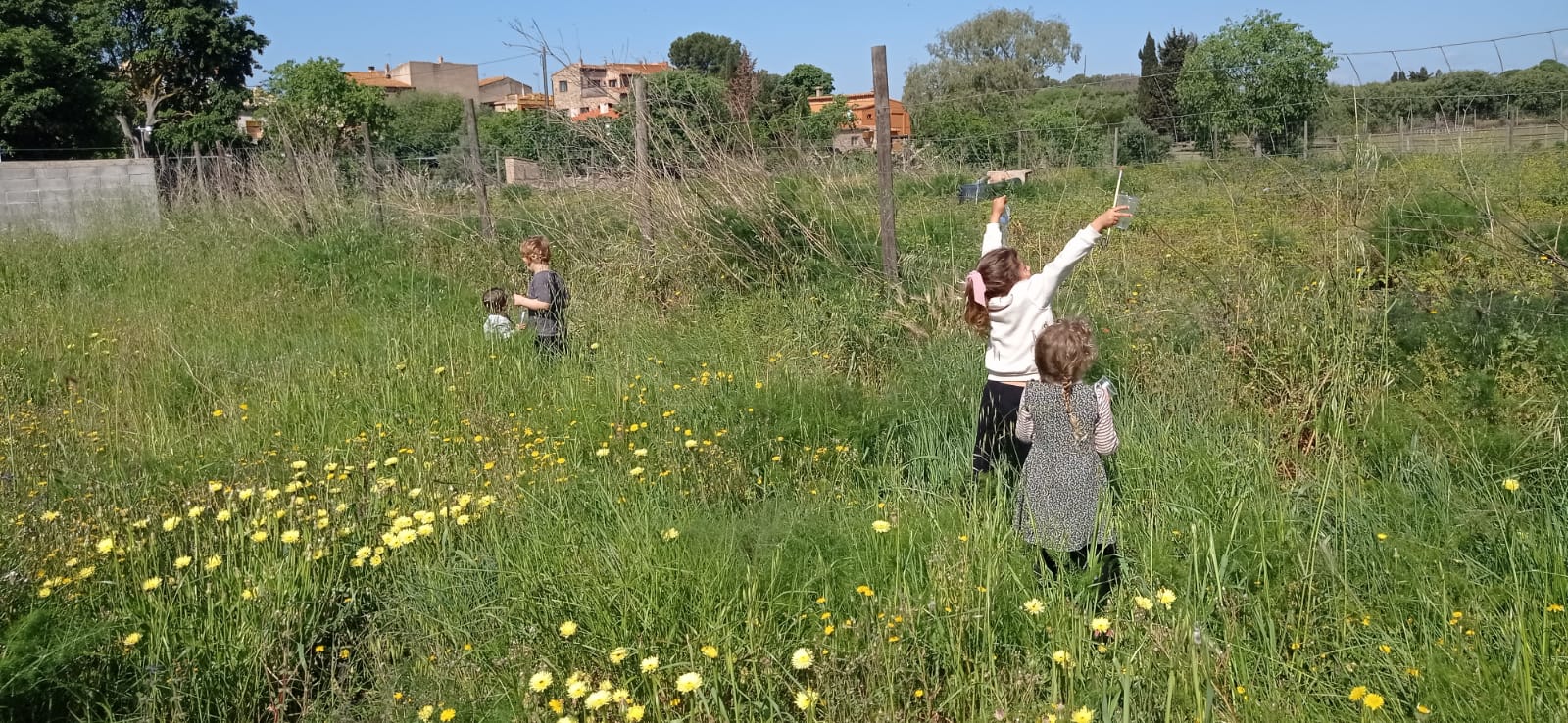 WhatsApp Image 2025-06-02 at 23.15.51 (5)