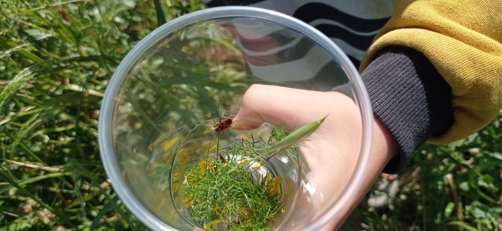 WhatsApp Image 2025-06-02 at 23.15.51 (7)