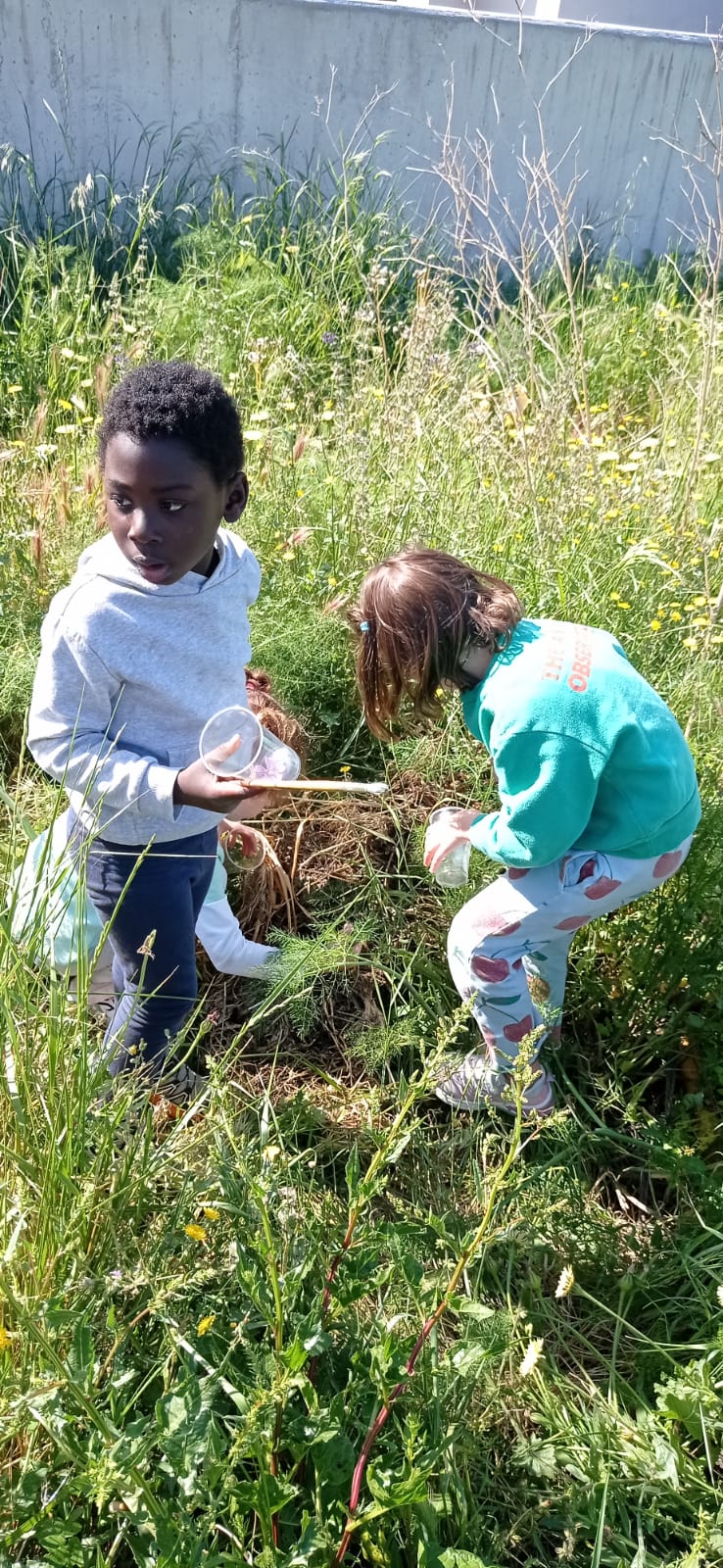 WhatsApp Image 2025-06-02 at 23.15.51 (8)