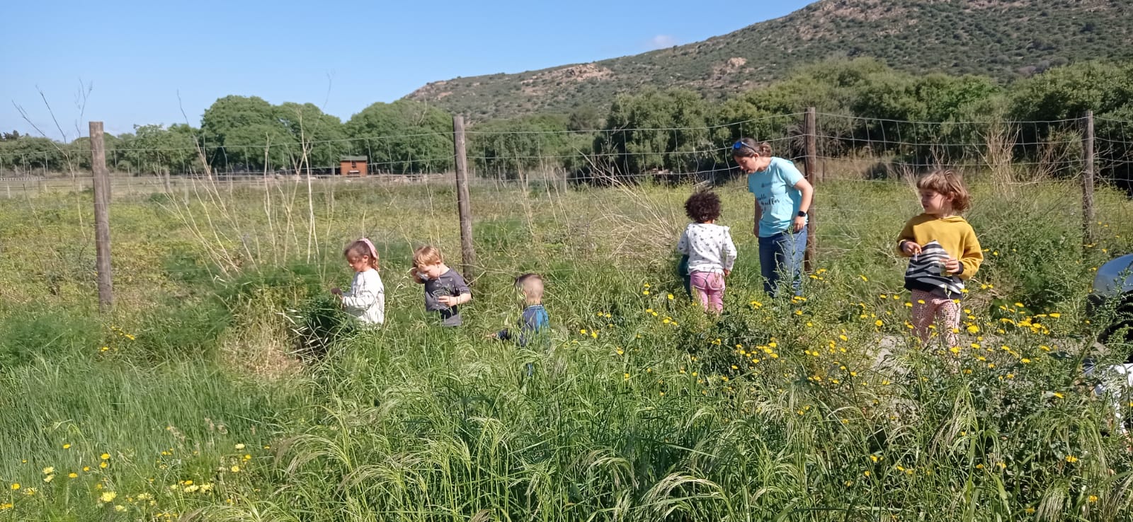 WhatsApp Image 2025-06-02 at 23.15.51 (9)