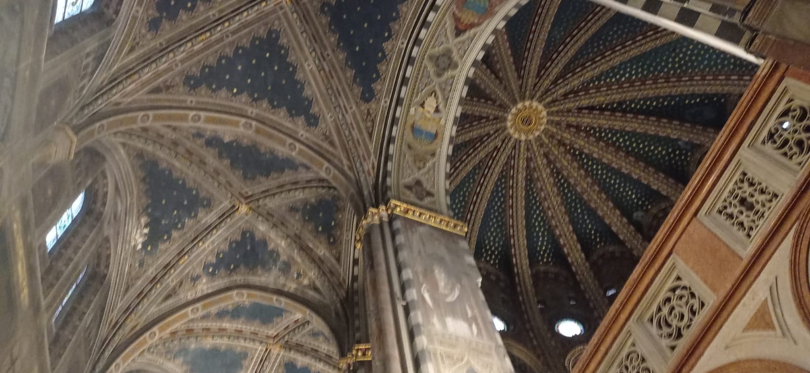 WhatsApp Image 2025-11-05 at 16.01.15 (2)