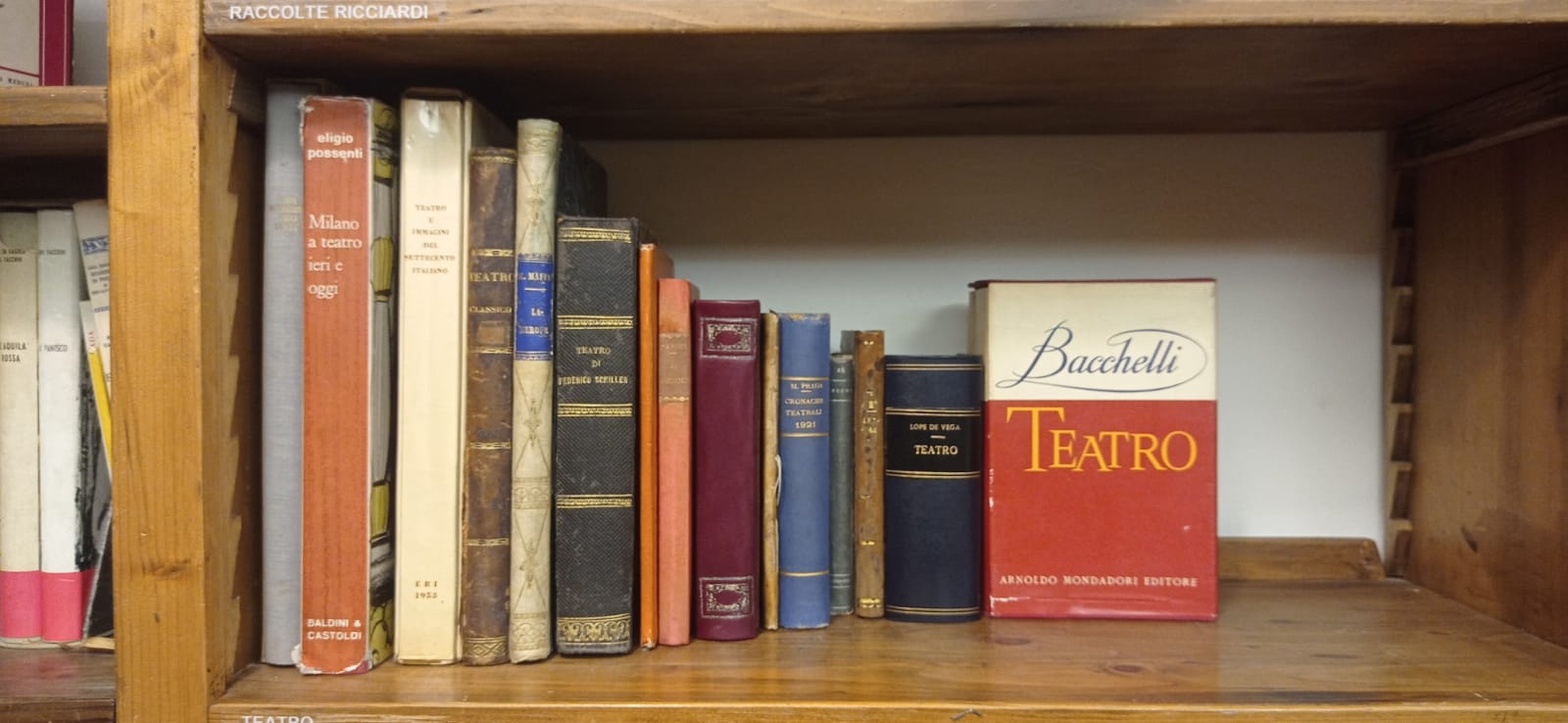 WhatsApp Image 2025-11-05 at 16.01.15