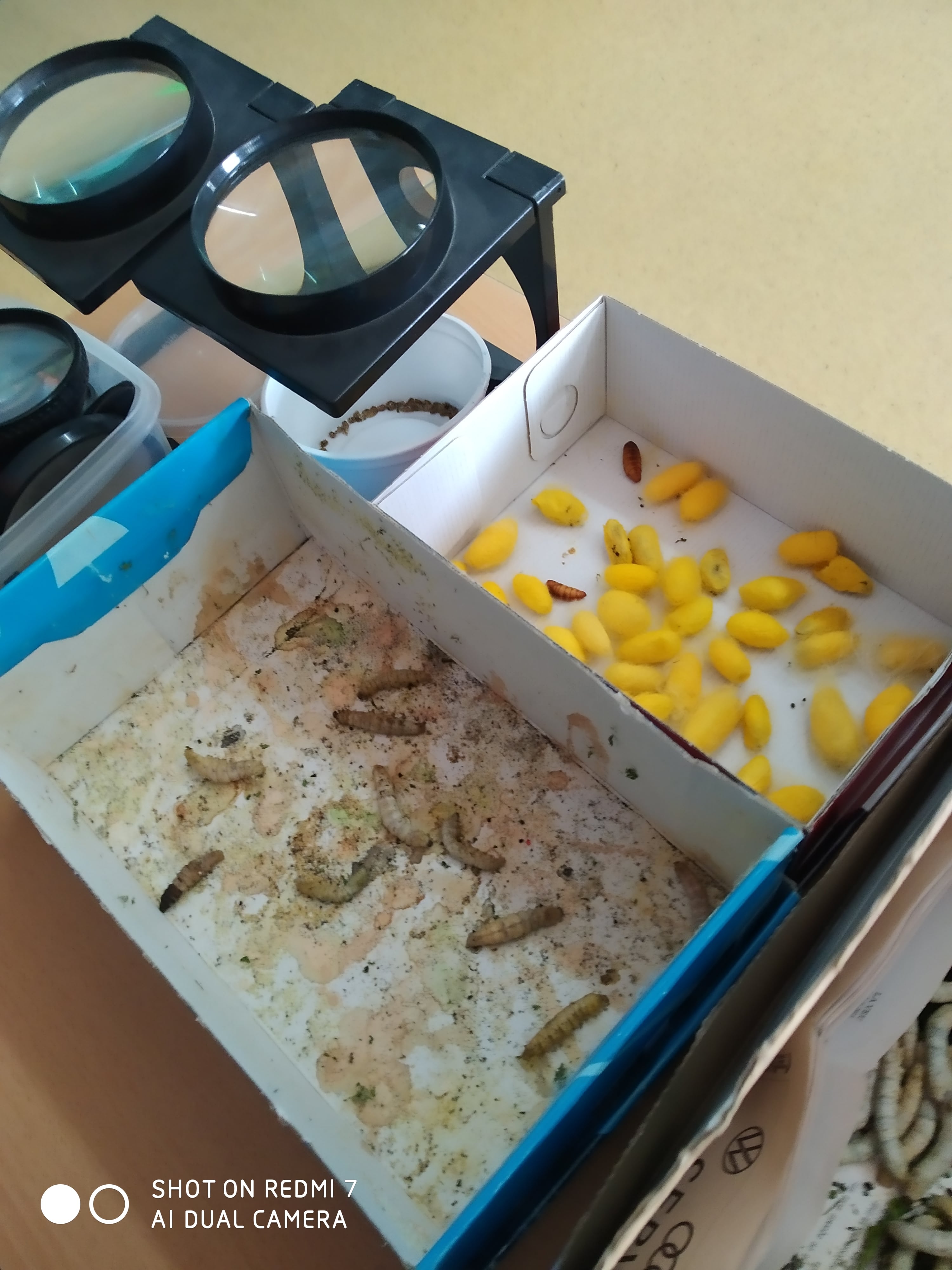 IMG_20210520_093113-min