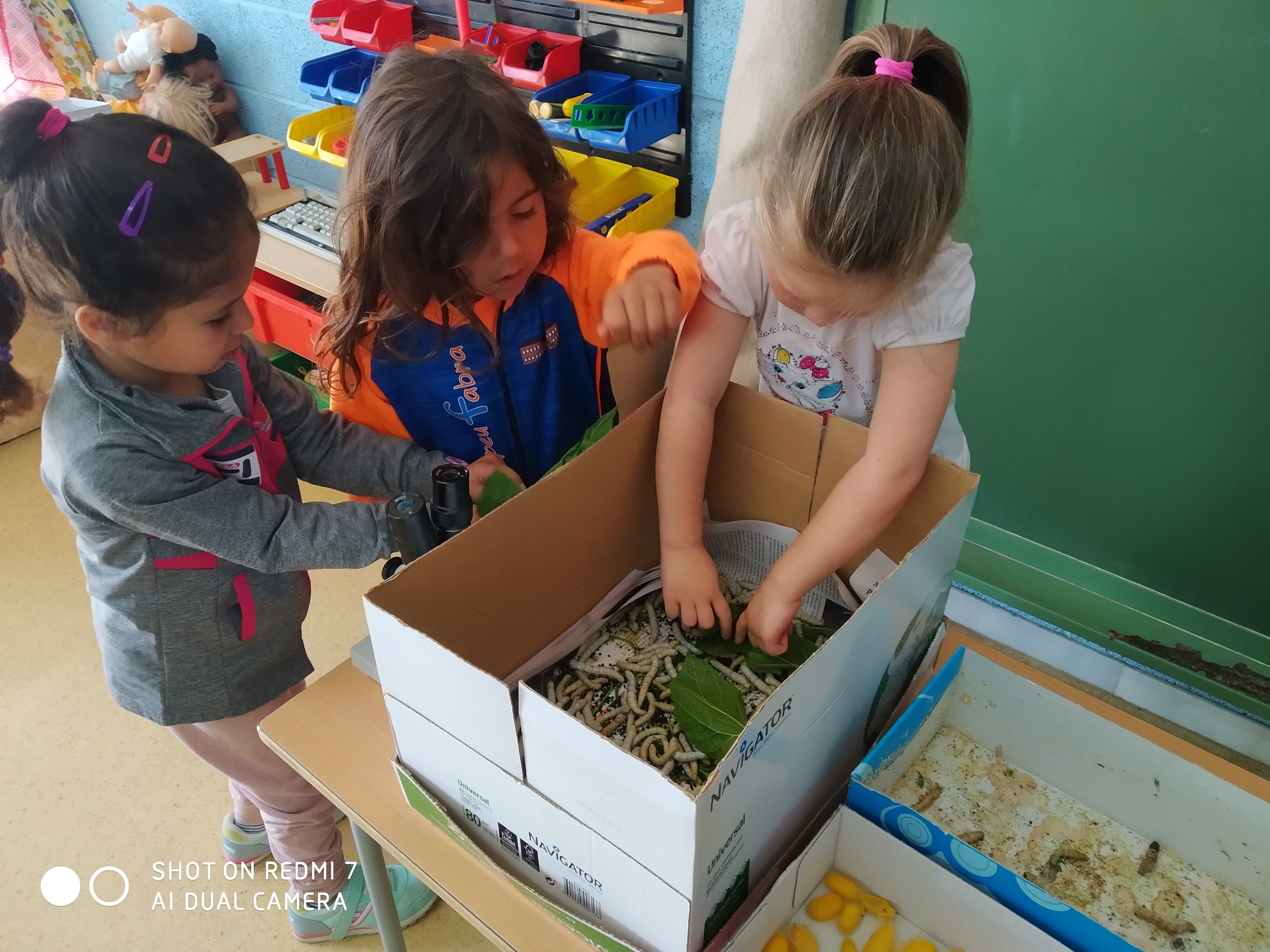 IMG_20210520_093129-min