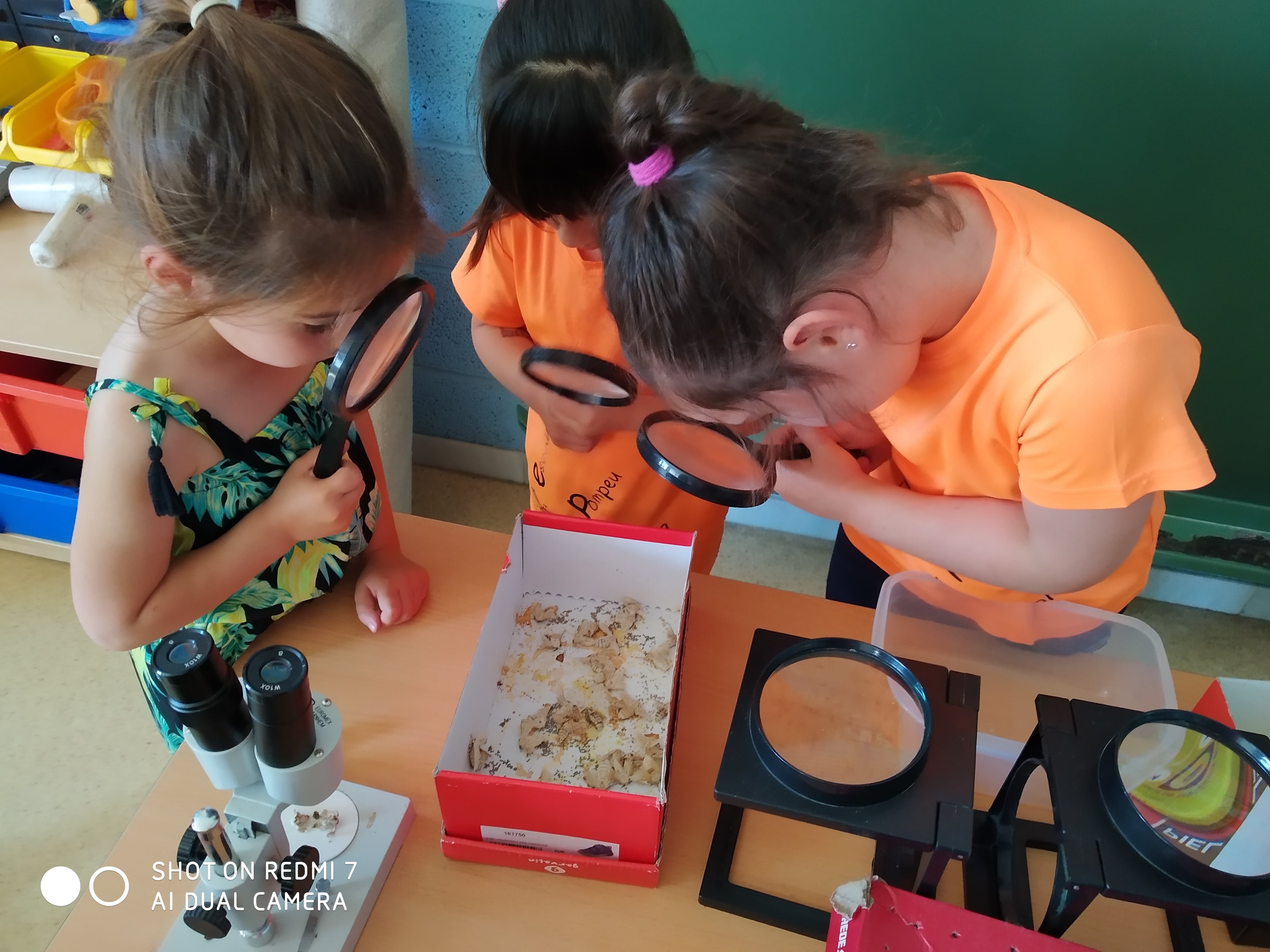 IMG_20210610_112440-min