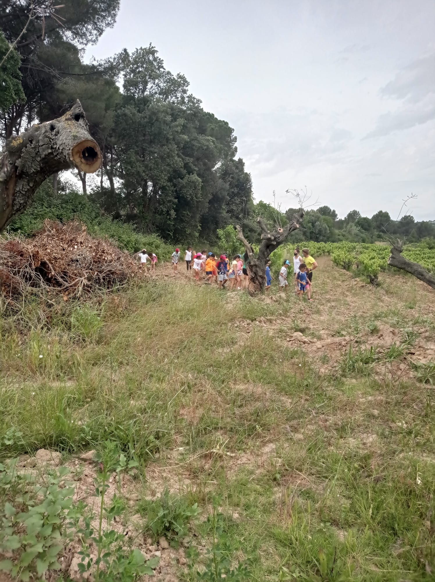 WhatsApp Image 2021-06-09 at 14.27.18