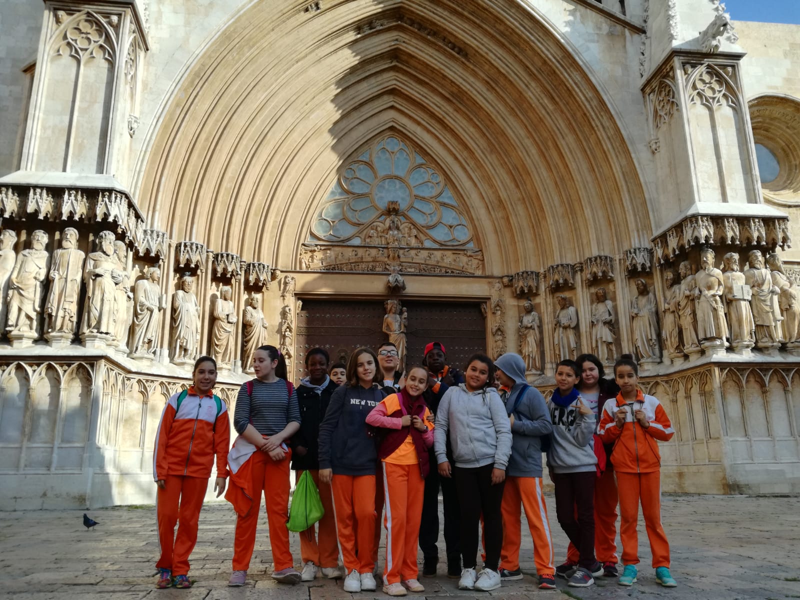 WhatsApp Image 2018-11-19 at 13.03.43(1)