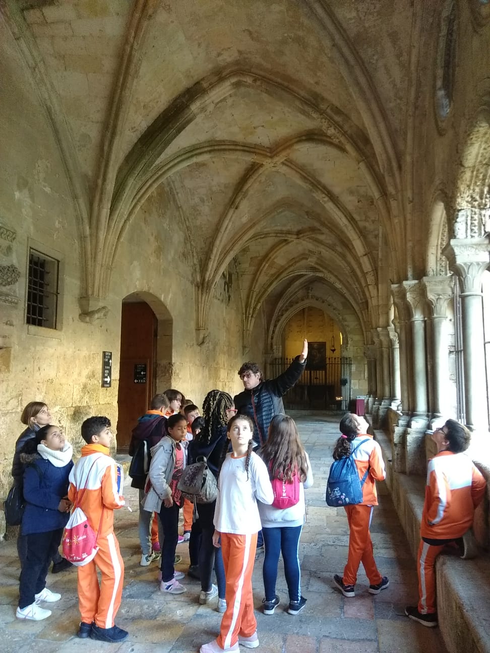 WhatsApp Image 2018-11-19 at 13.10.38